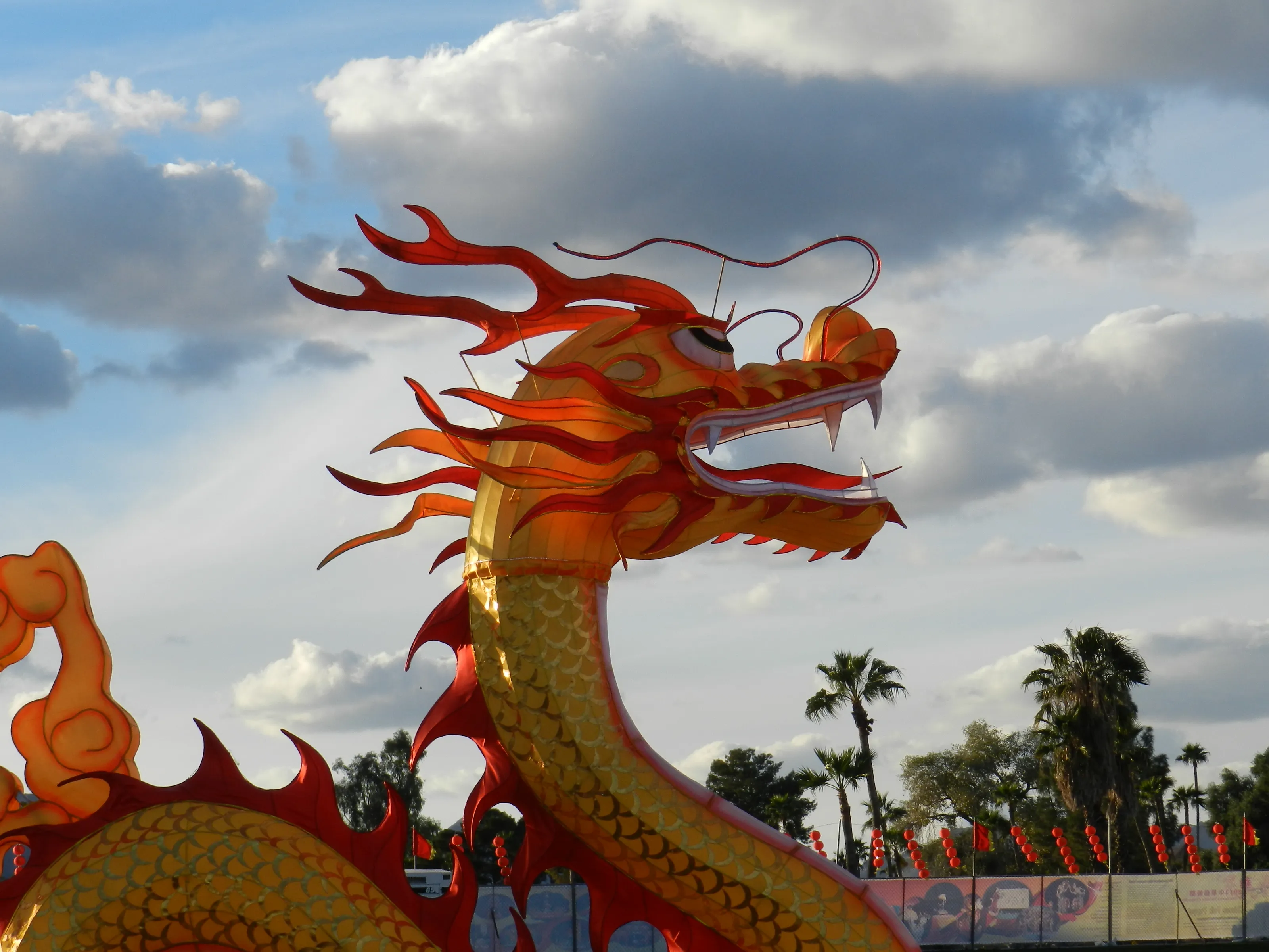 Dragons