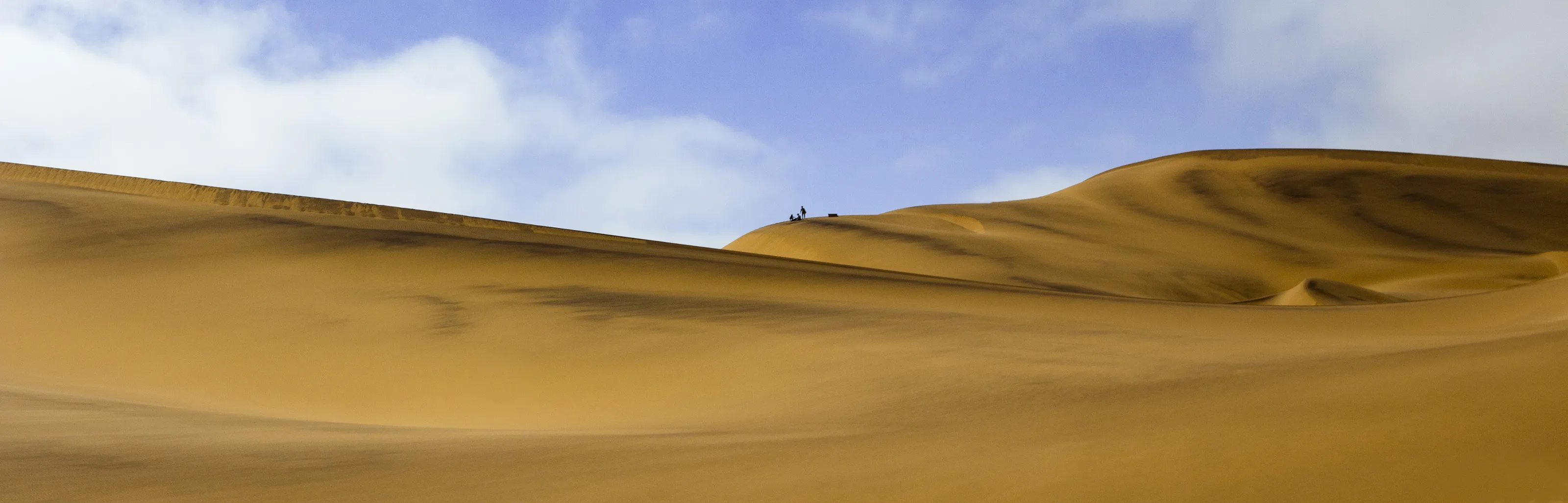 Desert Landscapes