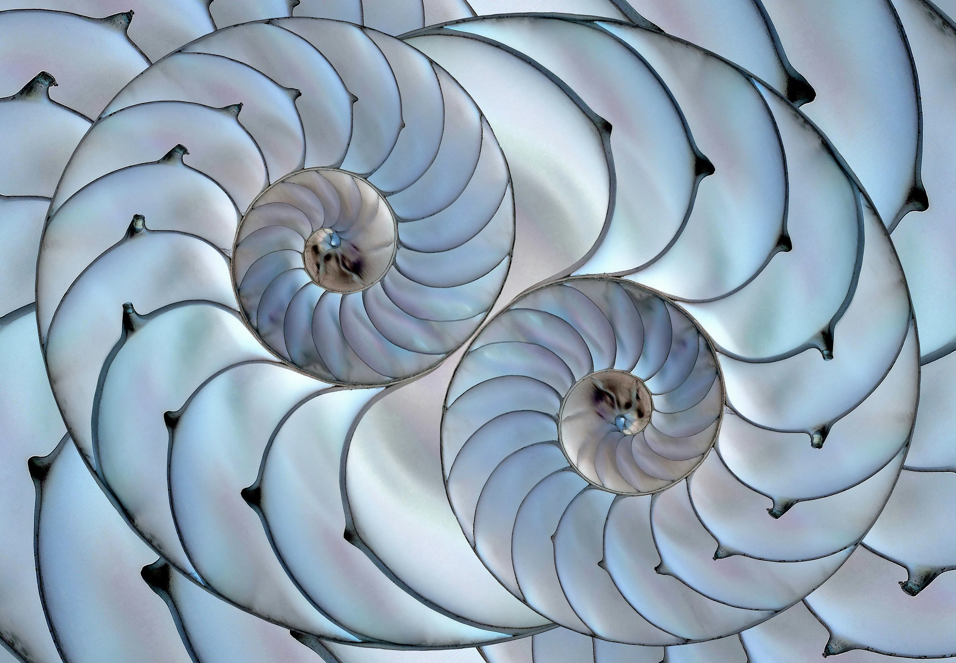 Abstracts in nature