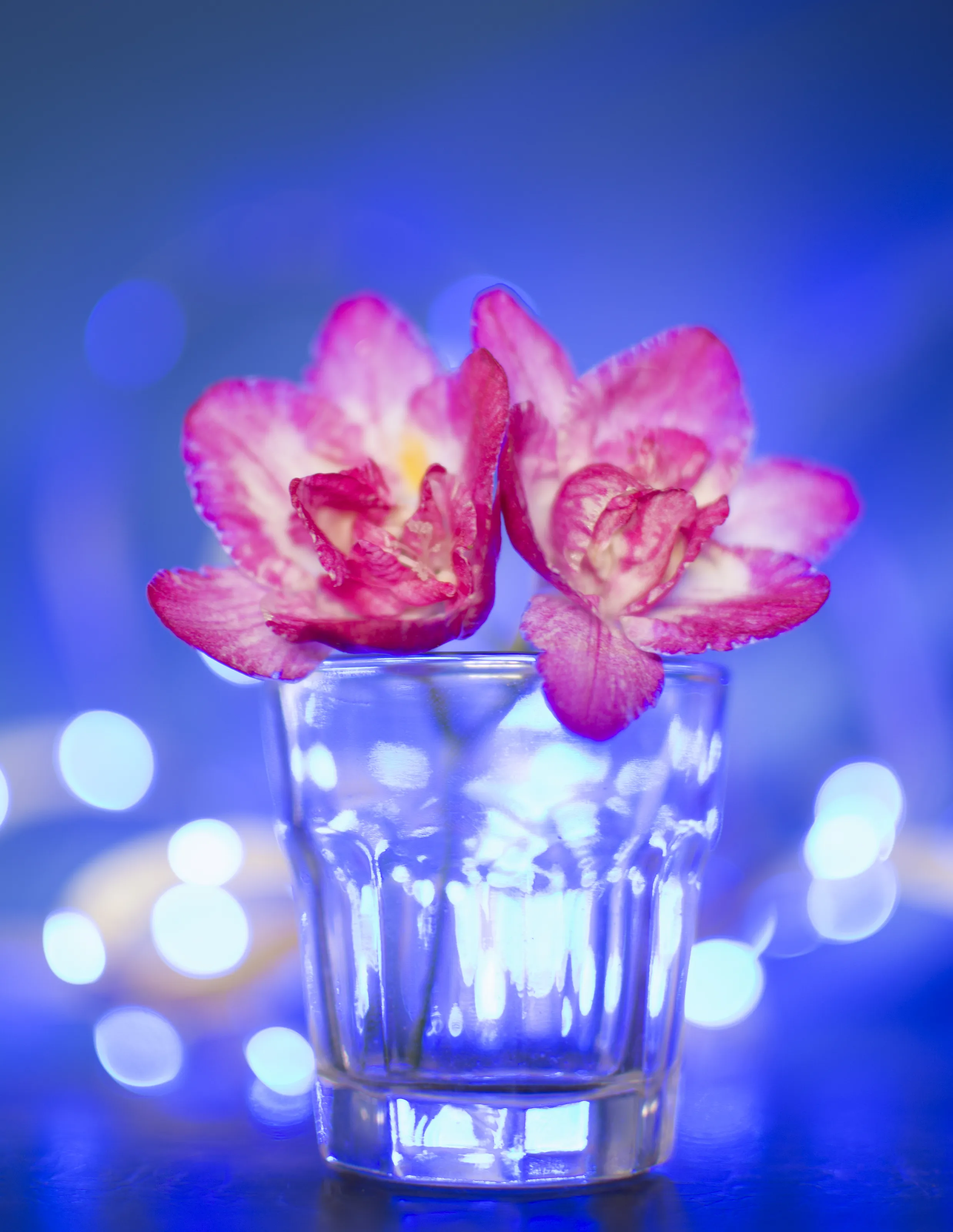 Pink and Blue
