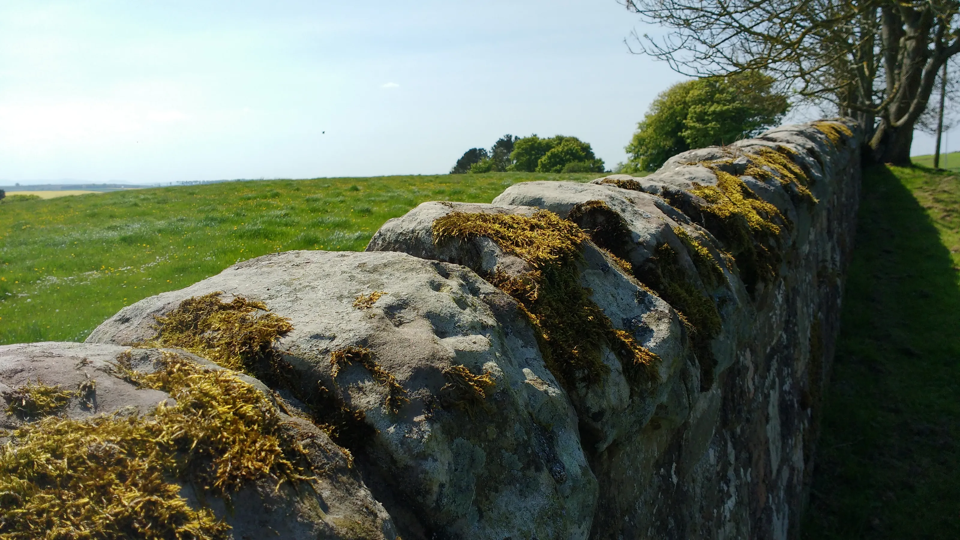 Brick and Stone Walls