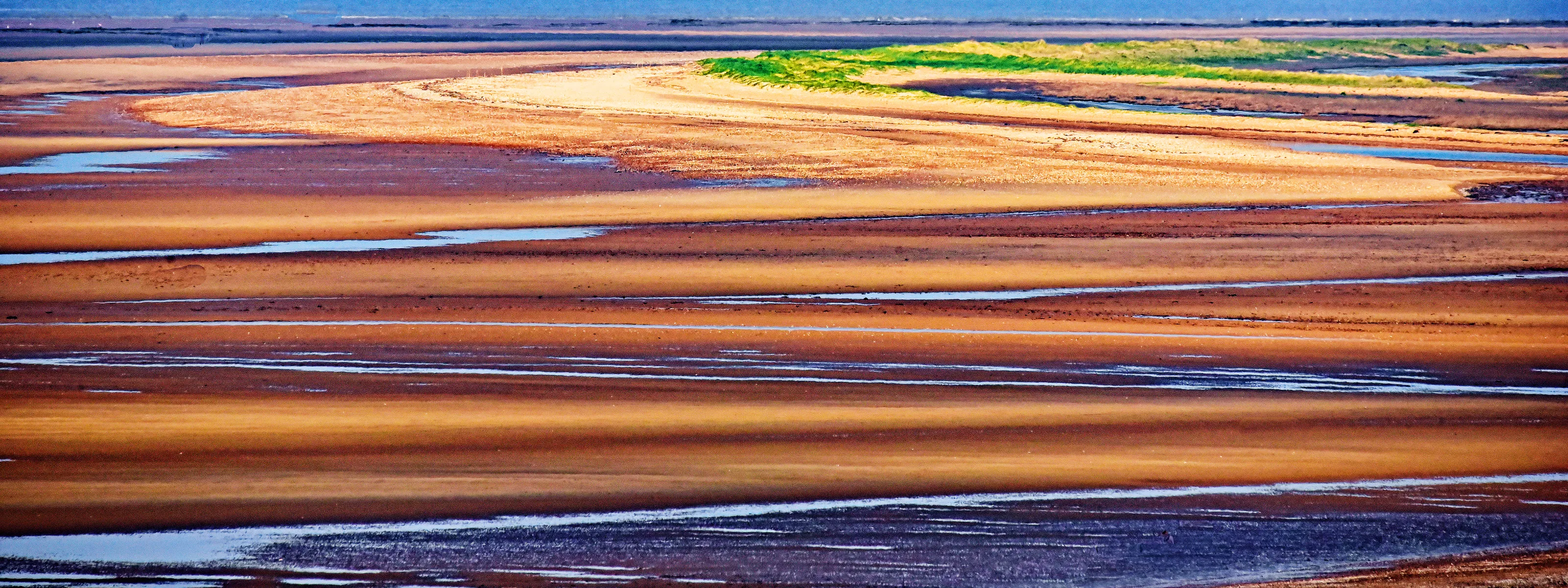 Landscape Lines