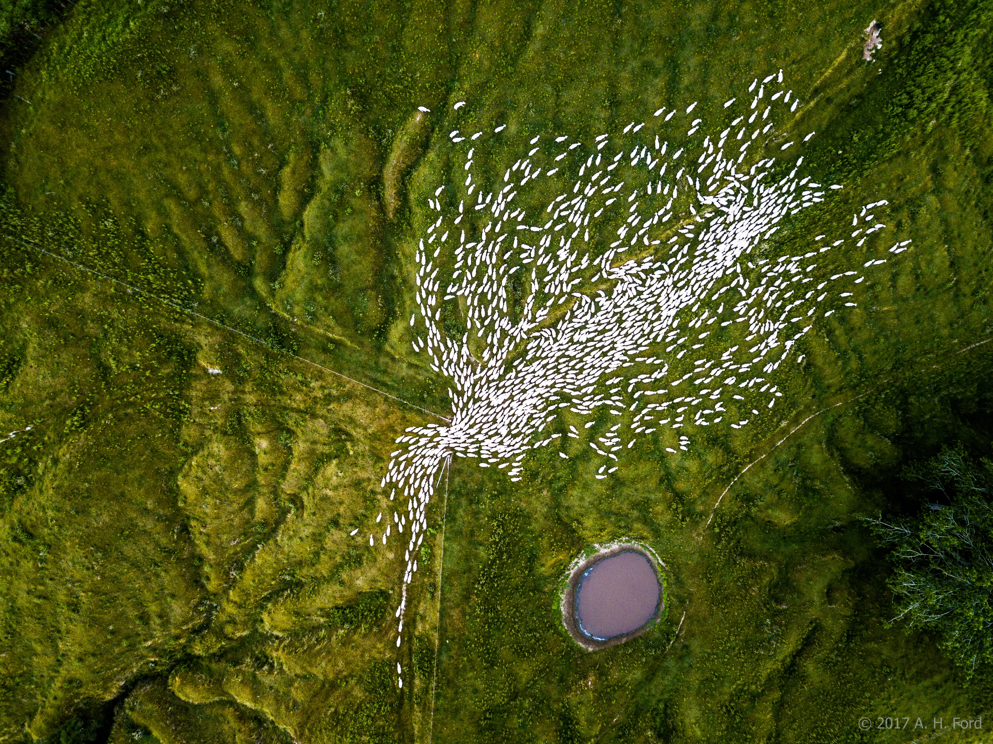 View Looking Down from the Air
