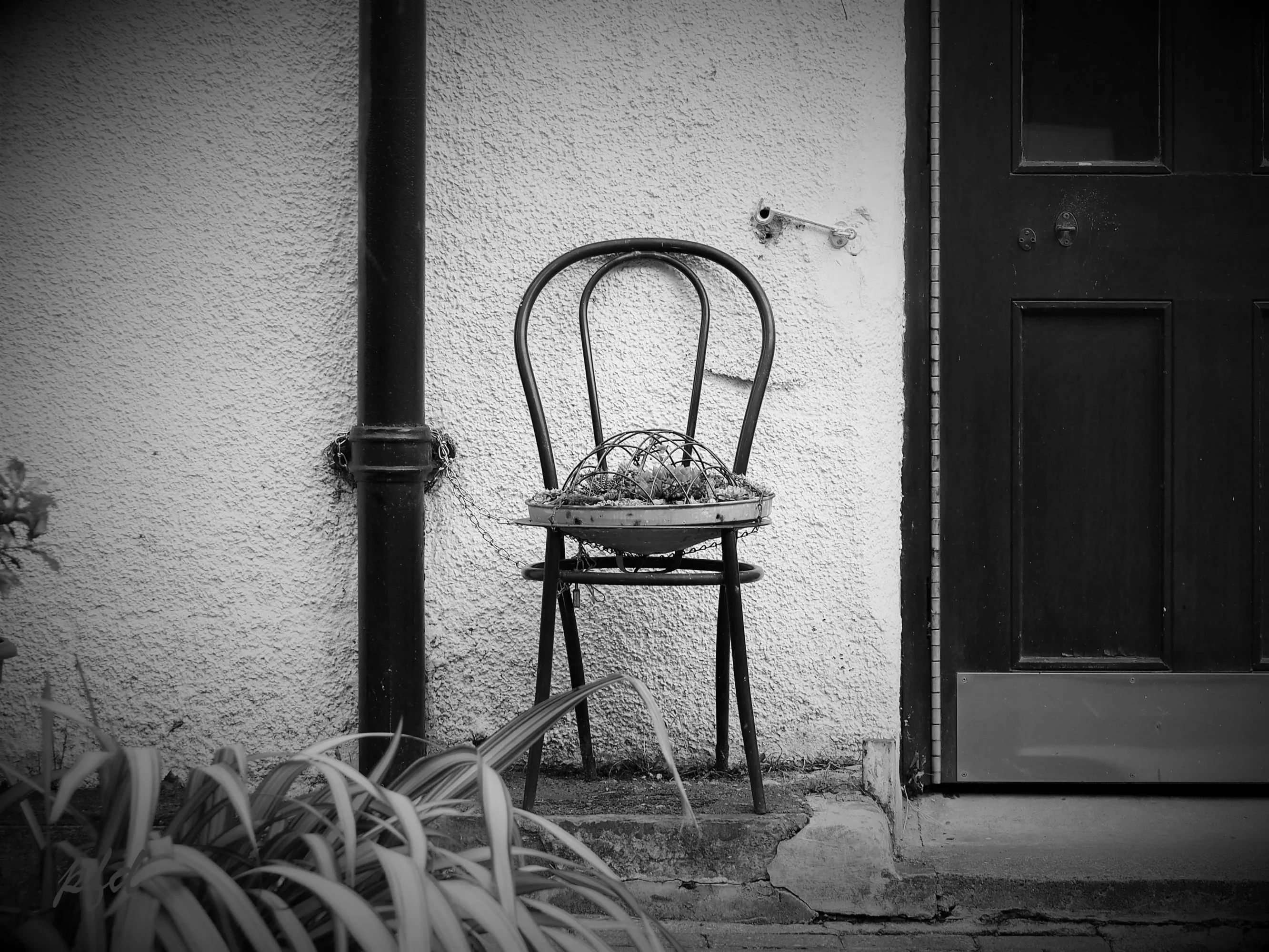 Odd and Unusual Chairs