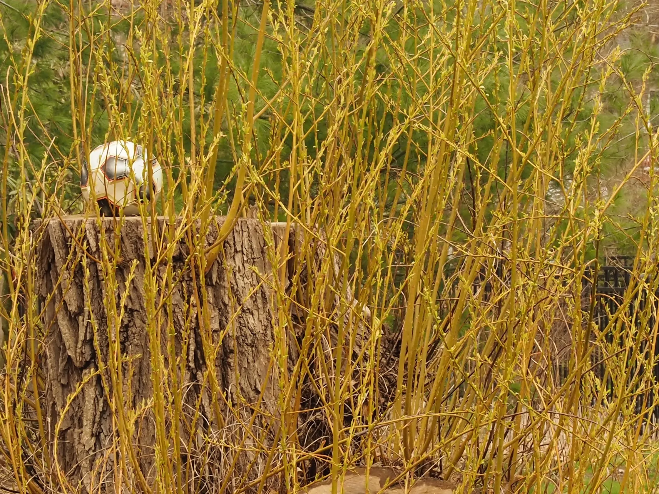 Evidence of Human Activity in Nature