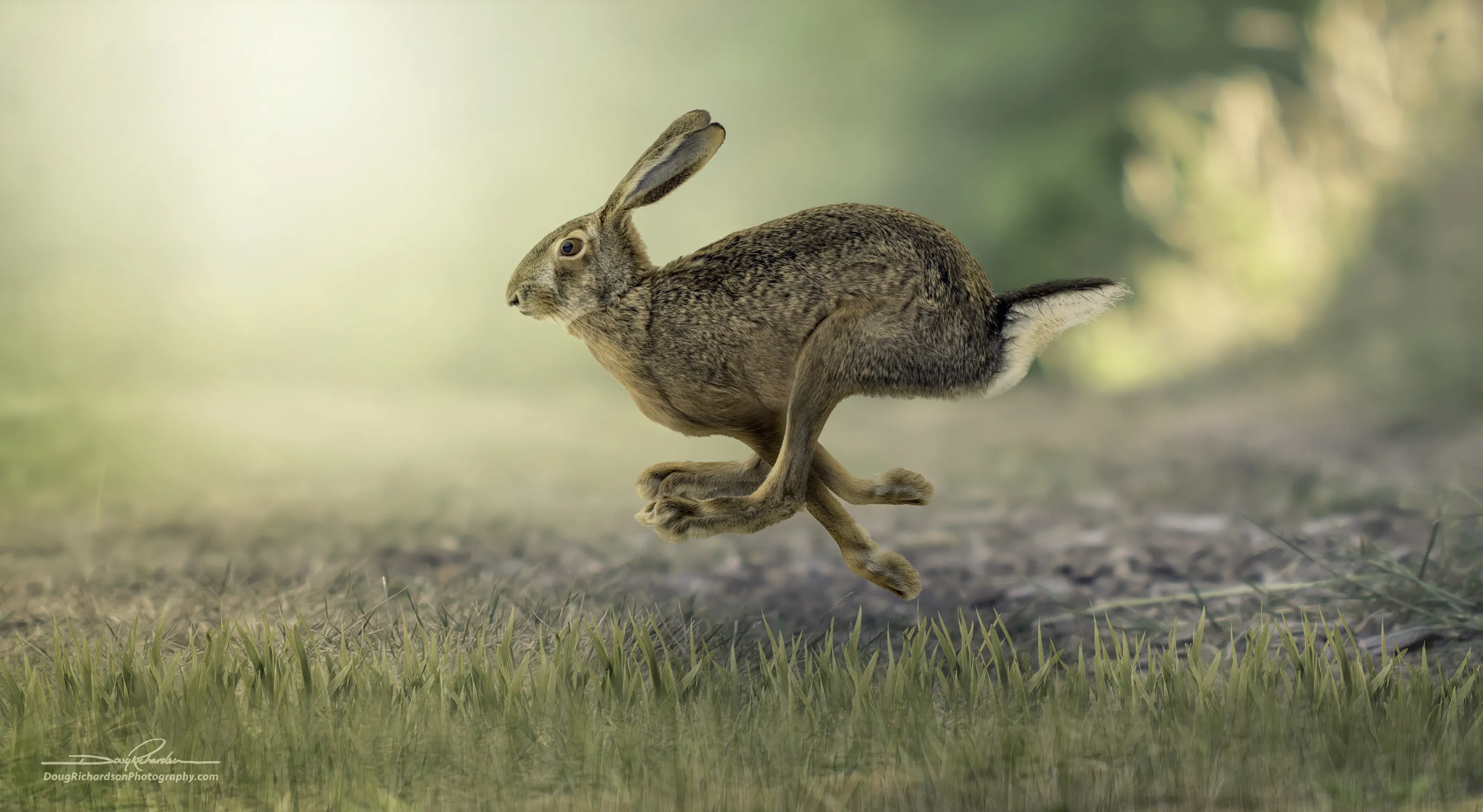 Capturing speed