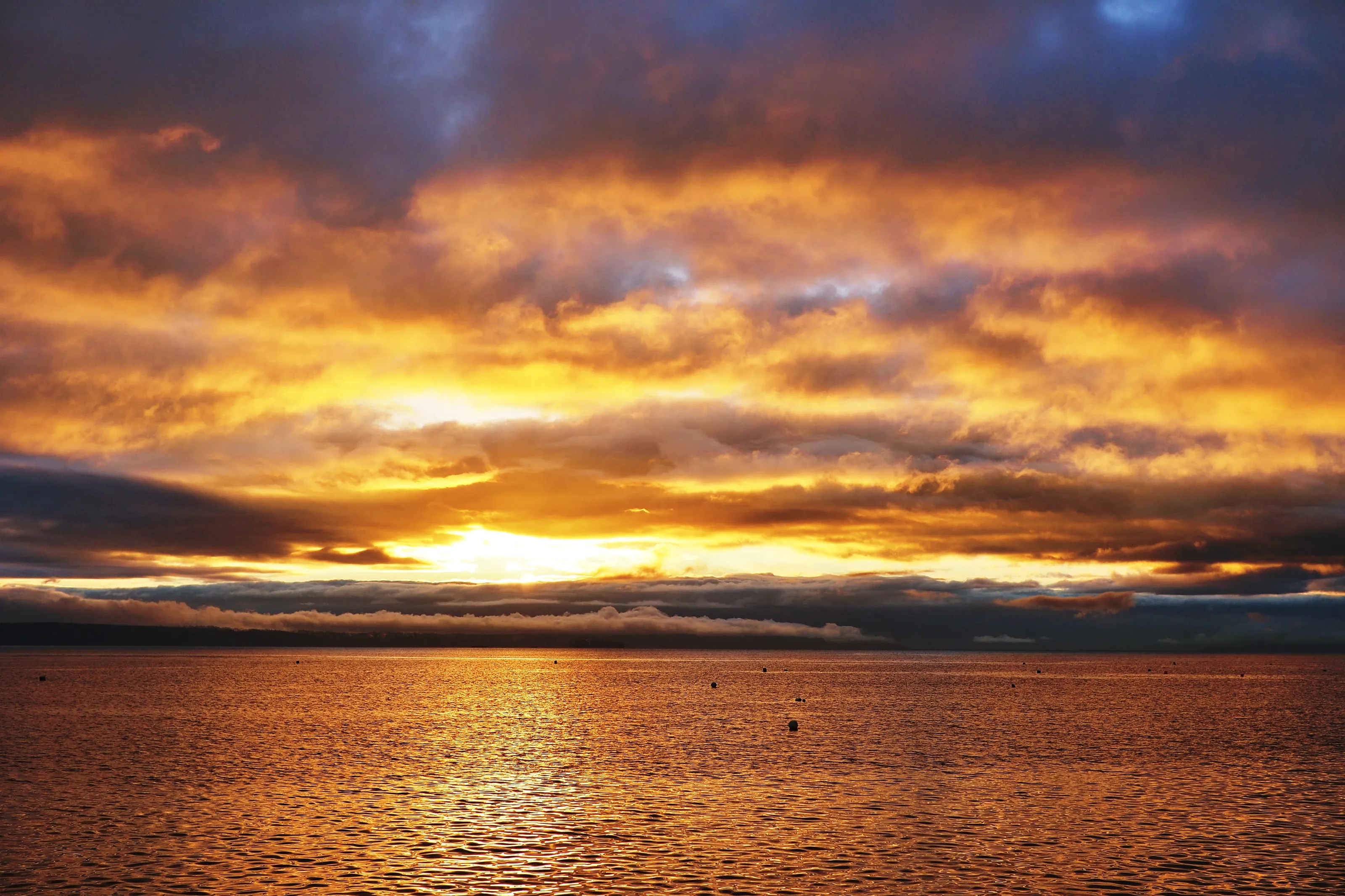 Golden Hour Landscapes