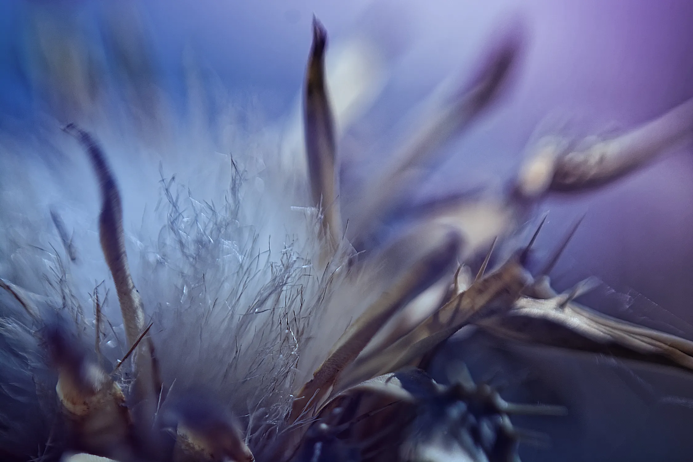 Abstract photography