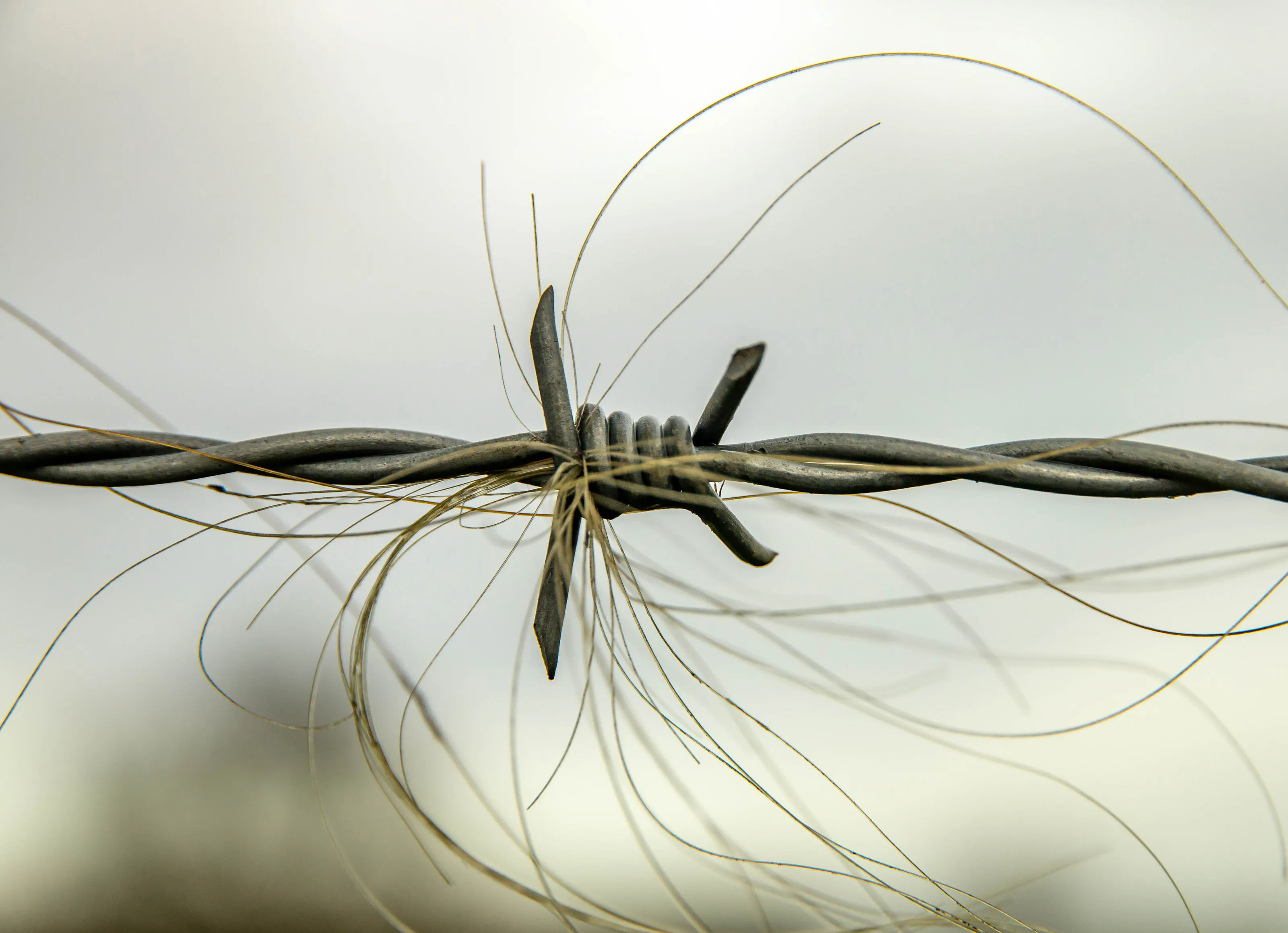 Manmade macro