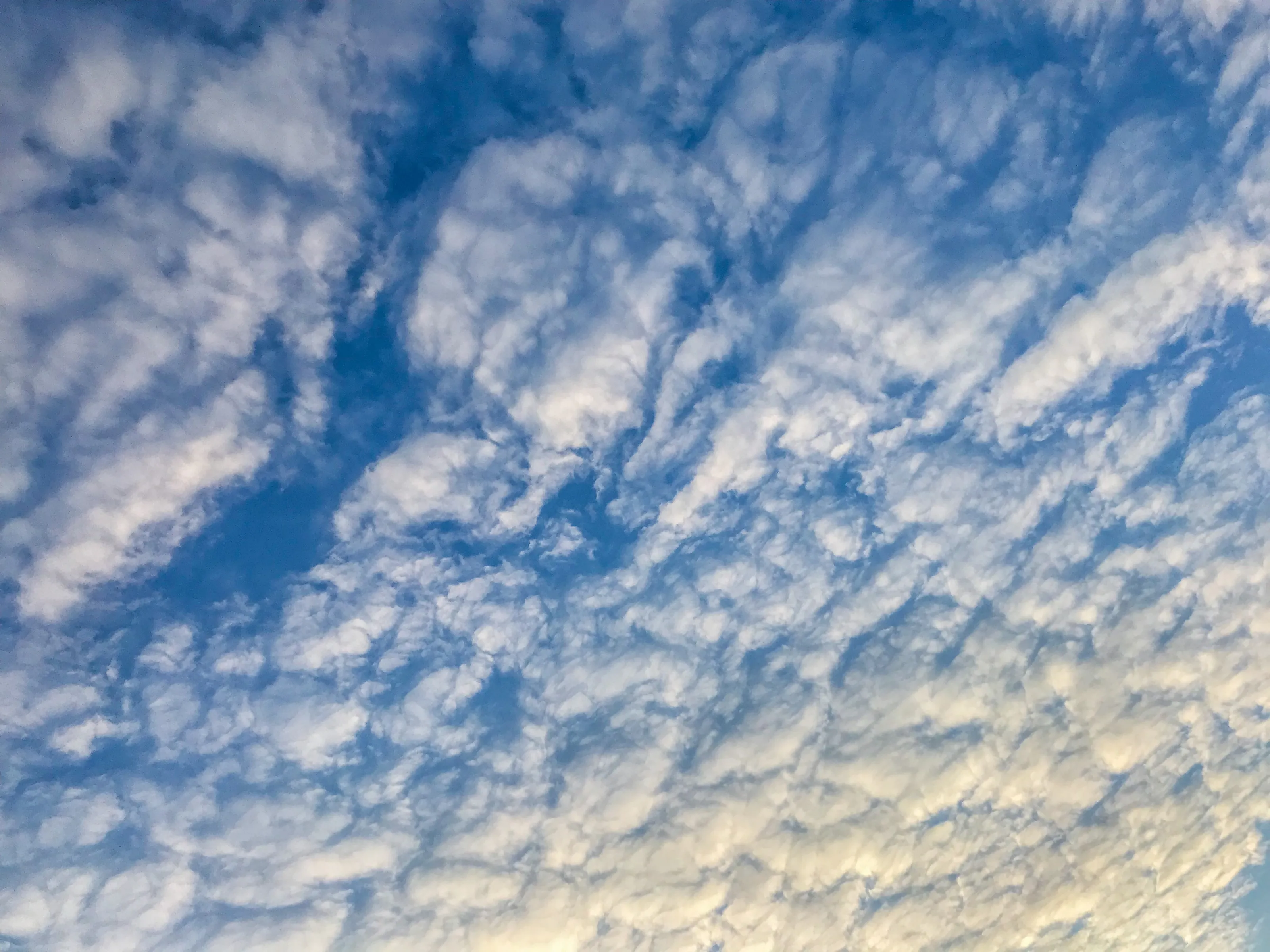 Clouds