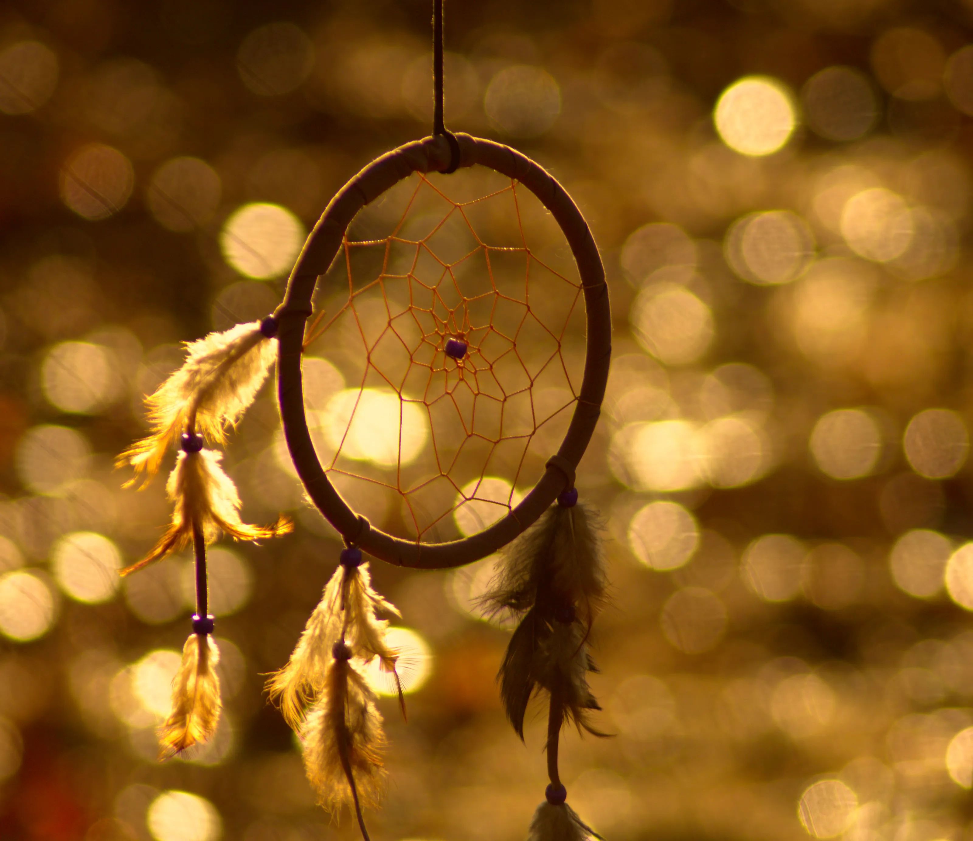 Bokeh