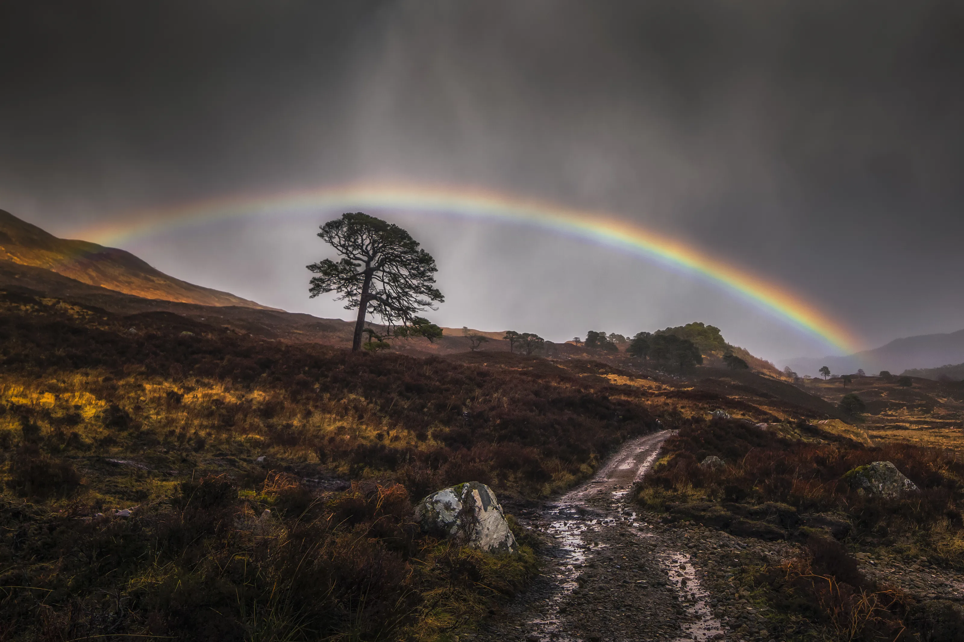Rainbows in Colour