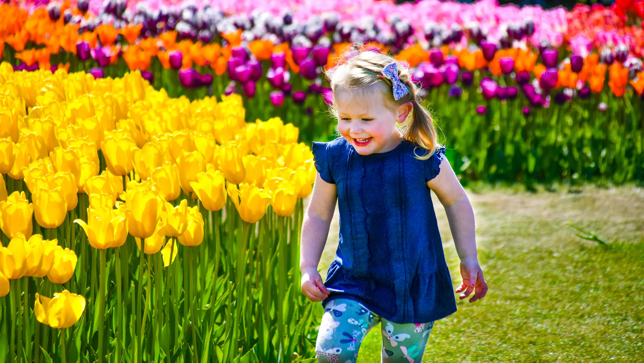 Children With Flowers (In Colour)