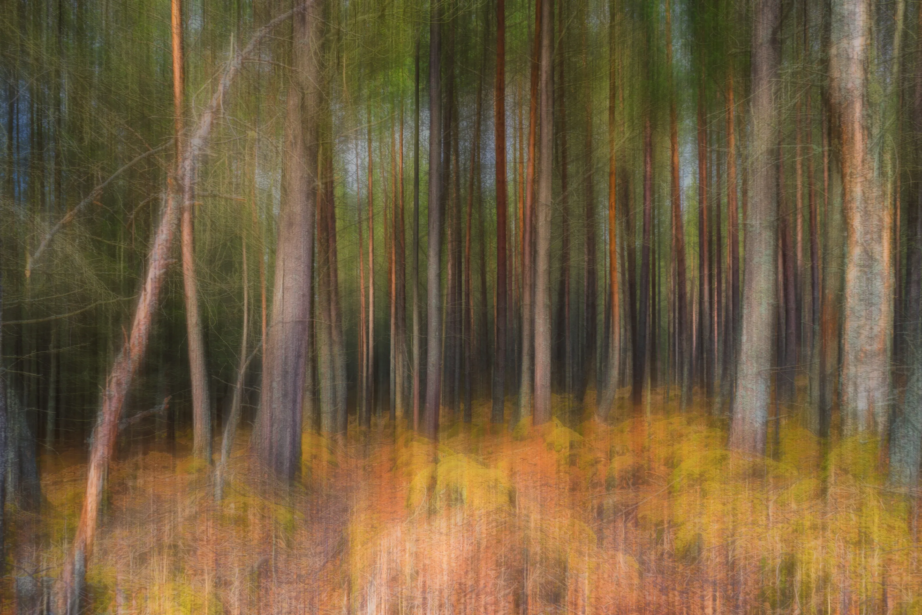 Linear Intentional Camera Movement