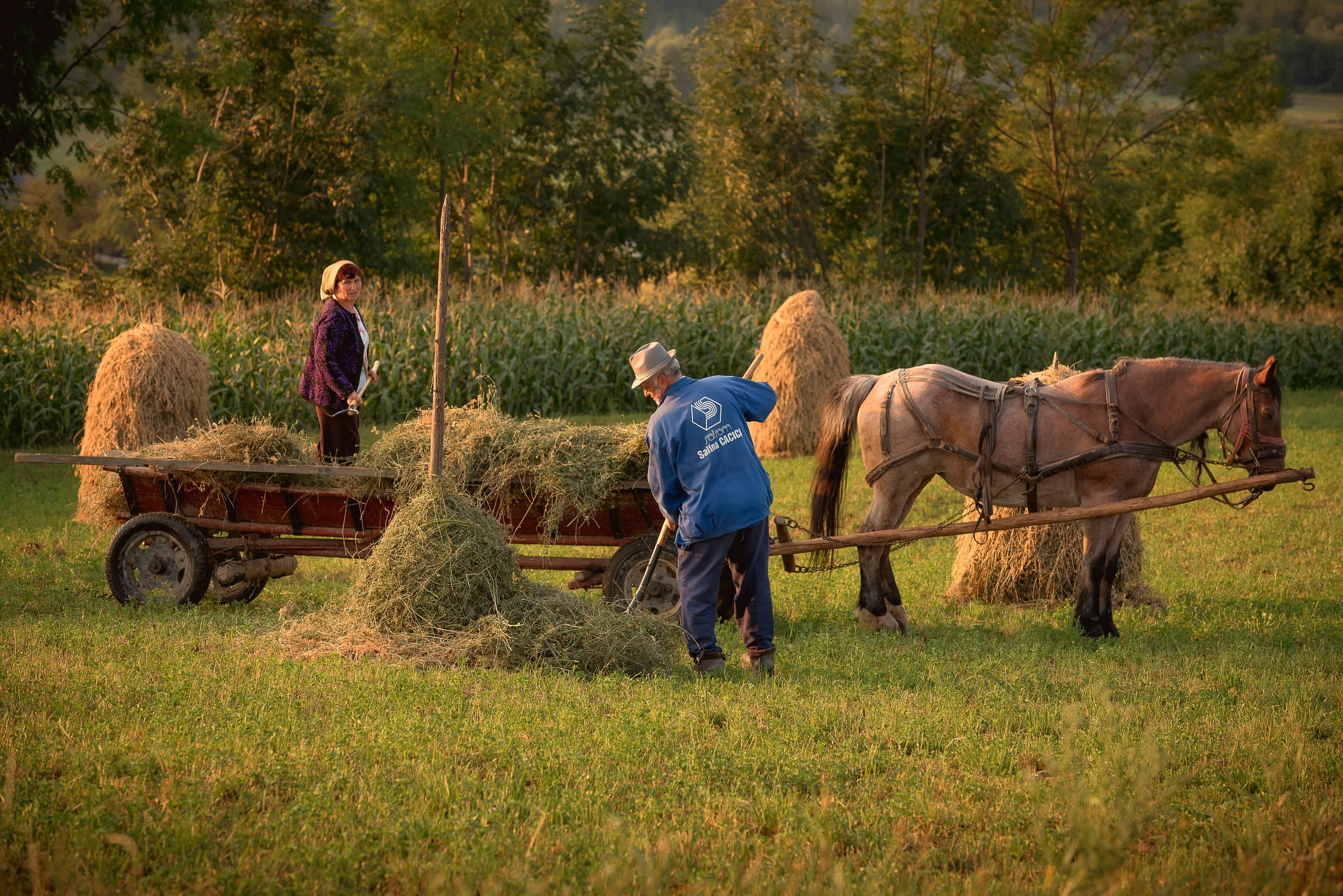 Farm Life
