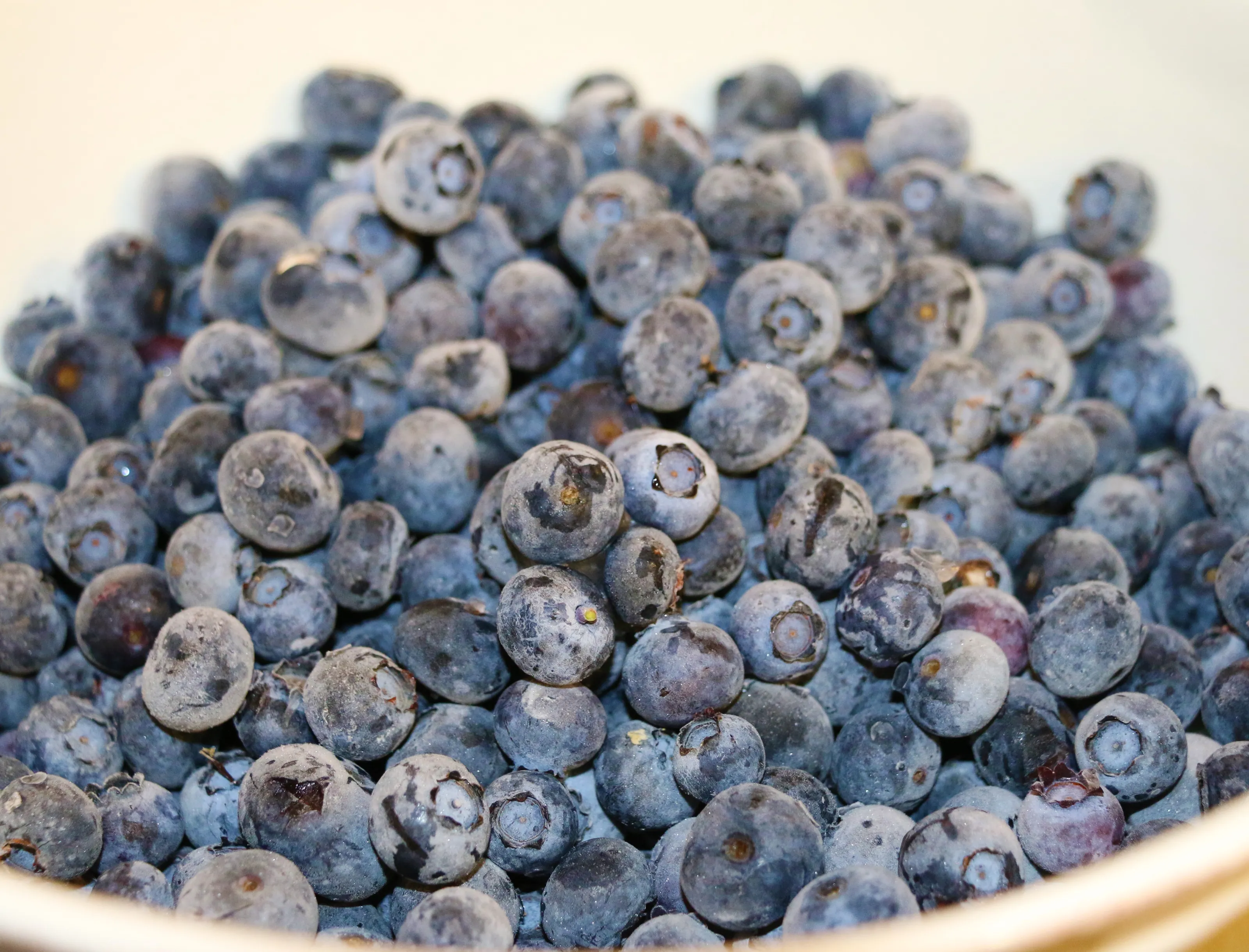 Berries