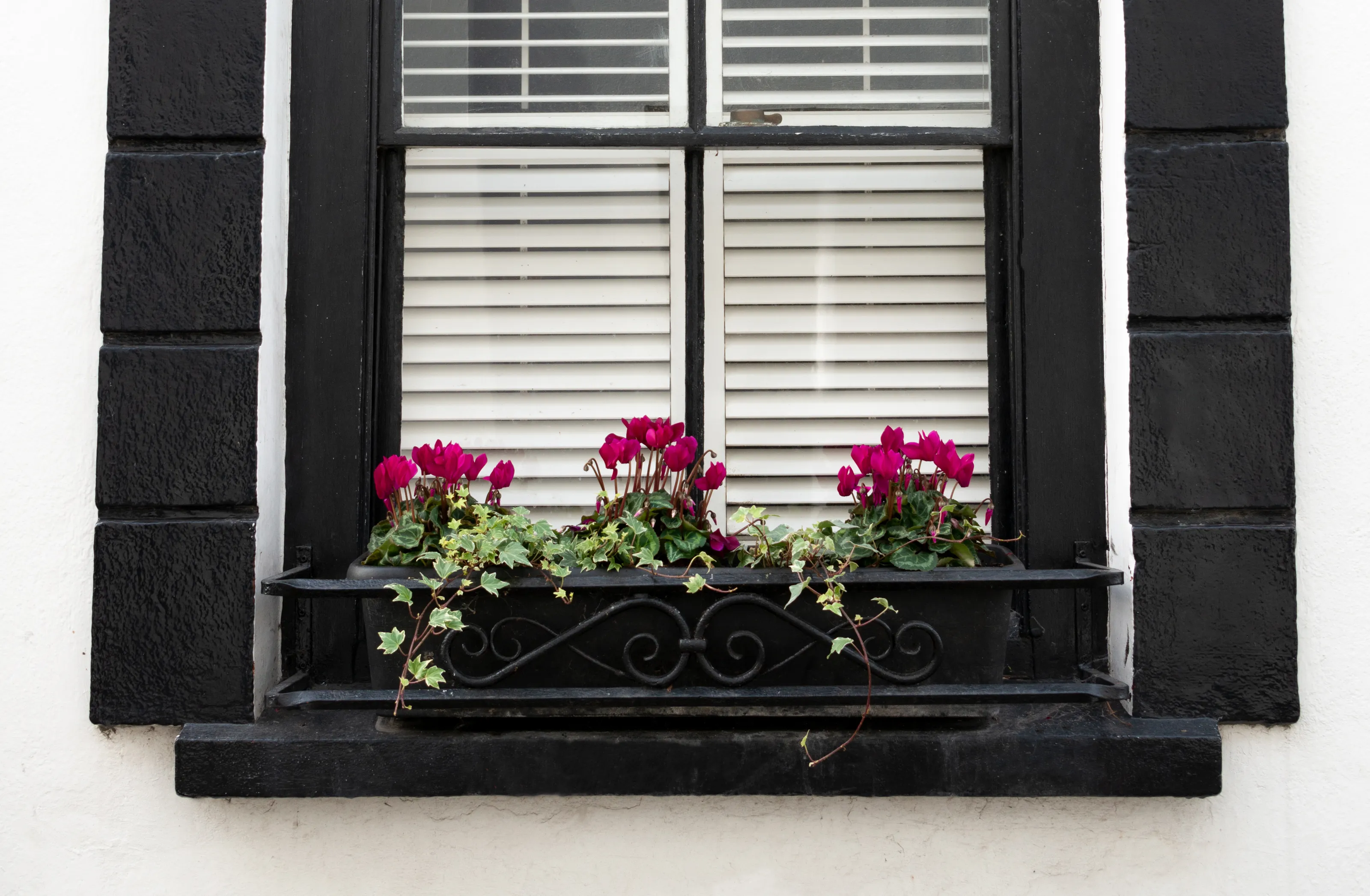 A Single Window - Neat and Pretty (in colour)