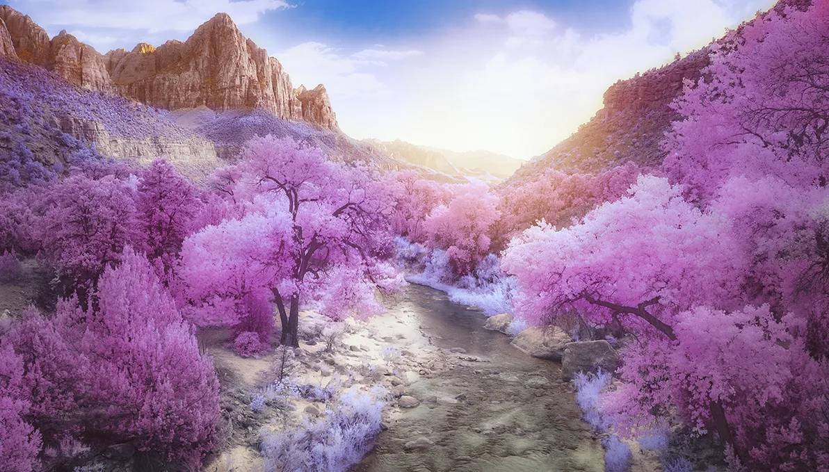 Infrared Images
