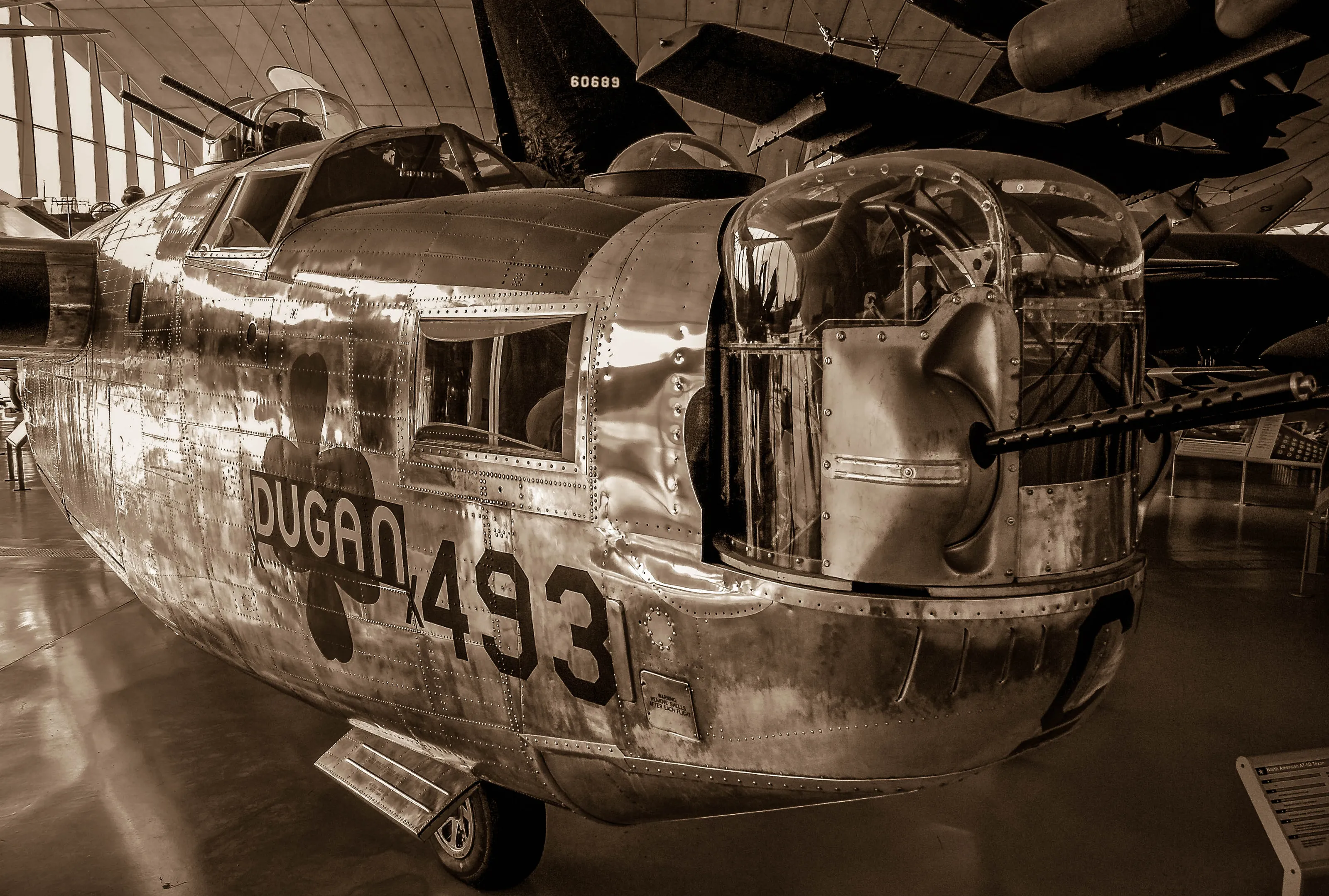 Museum Exhibits
