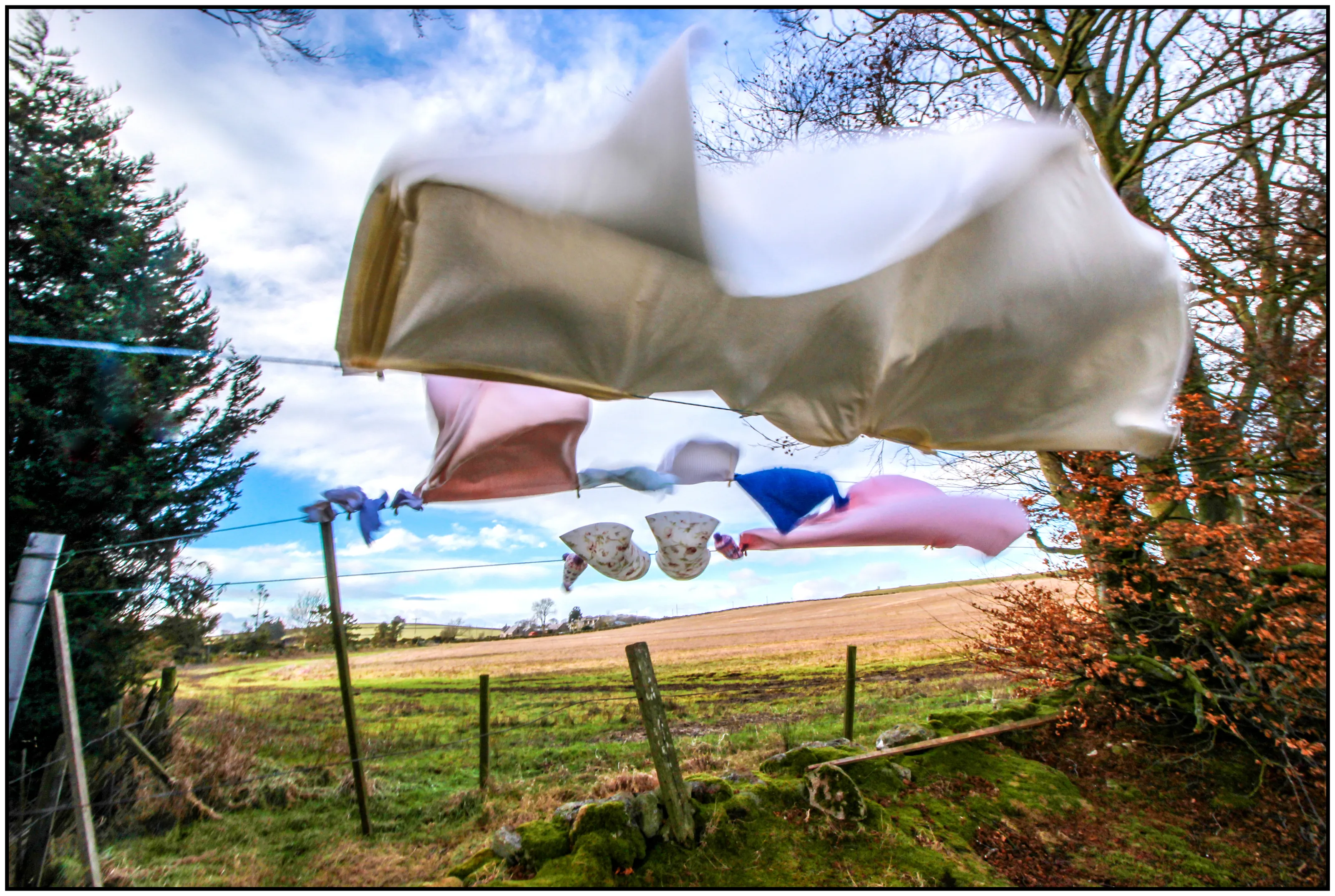 Capture the Wind