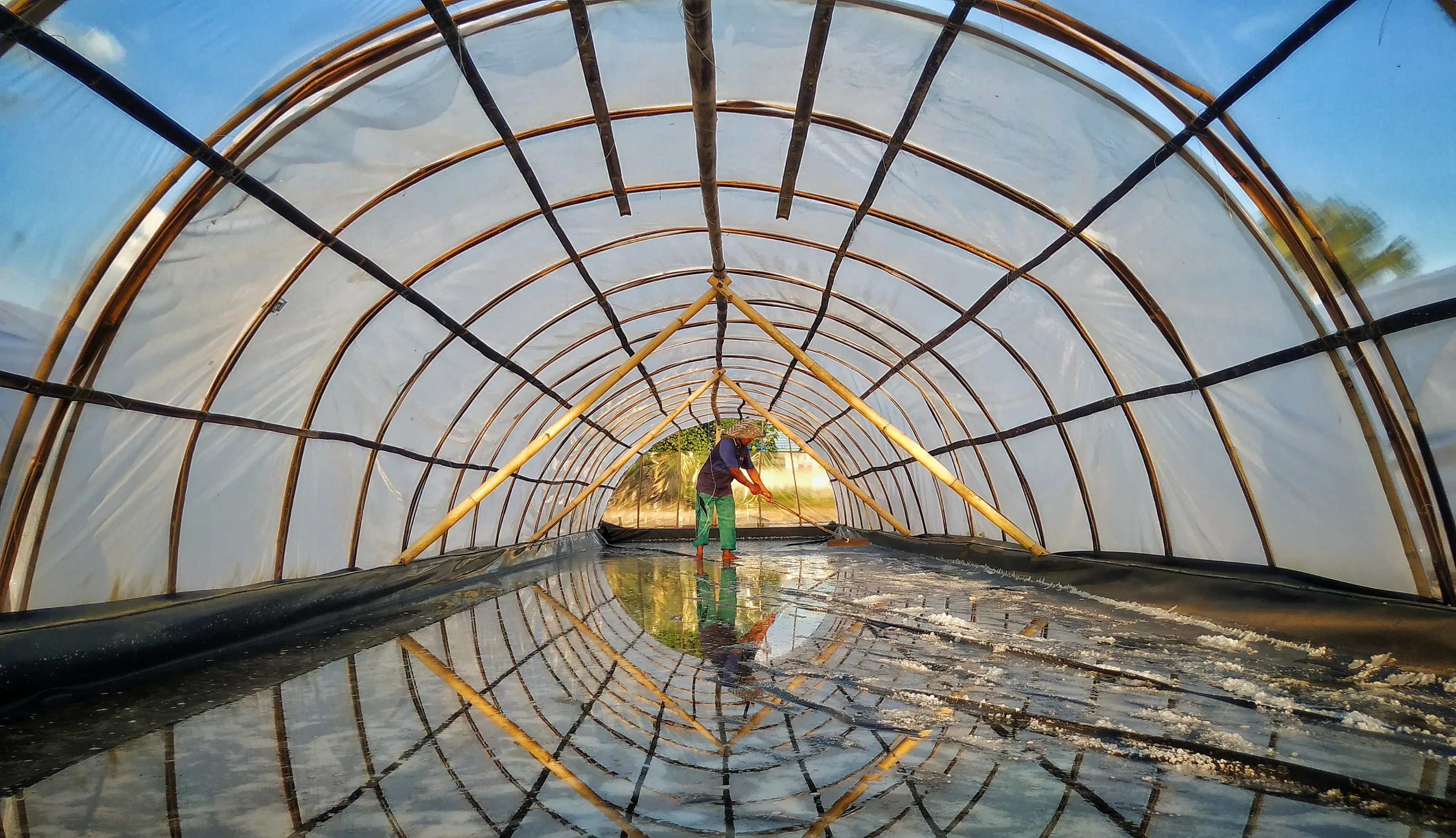 Mobile – Shelter