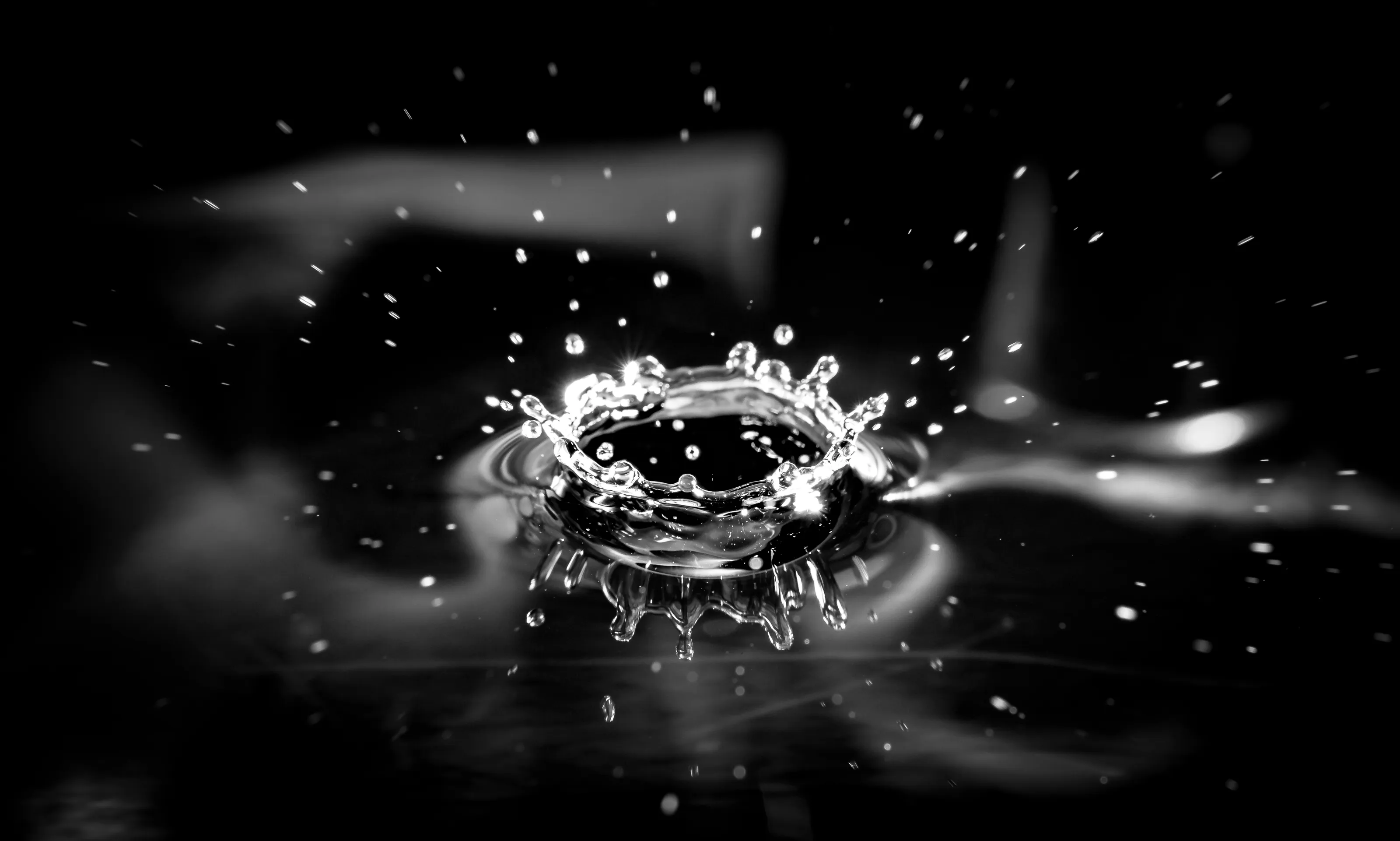 Splash