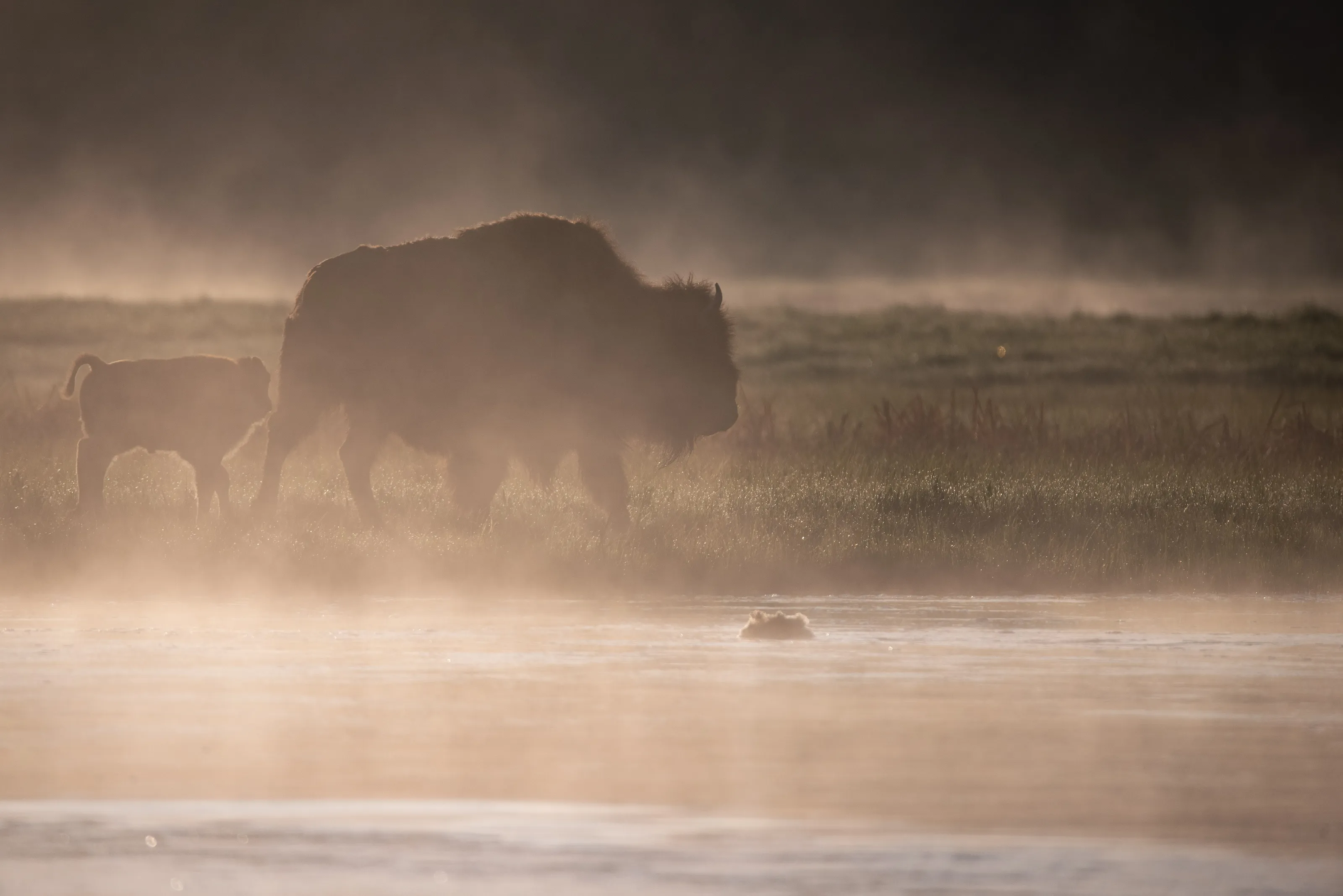 Yellowstone National Park