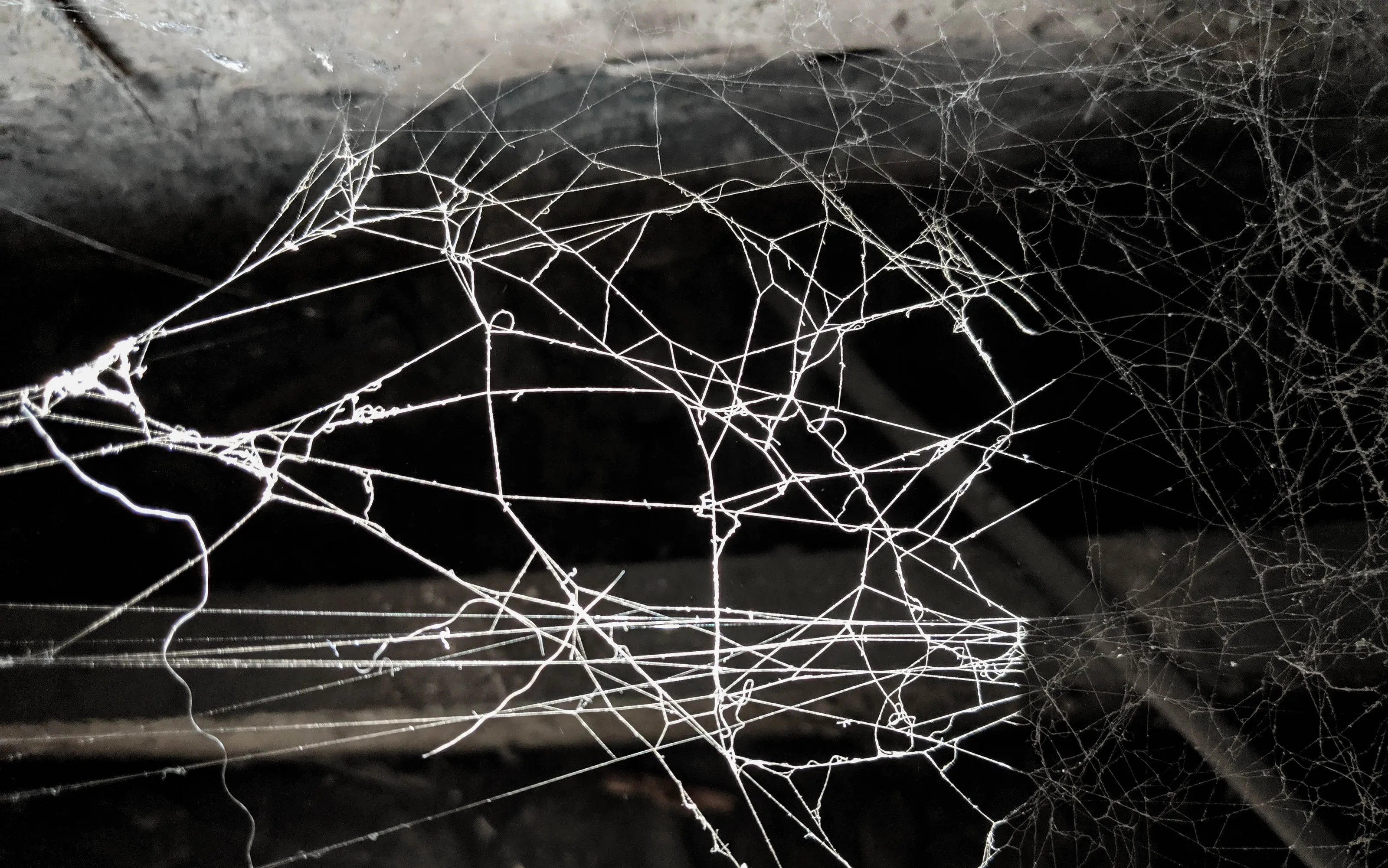 Spider Webs, Real or in Artwork (no spiders)