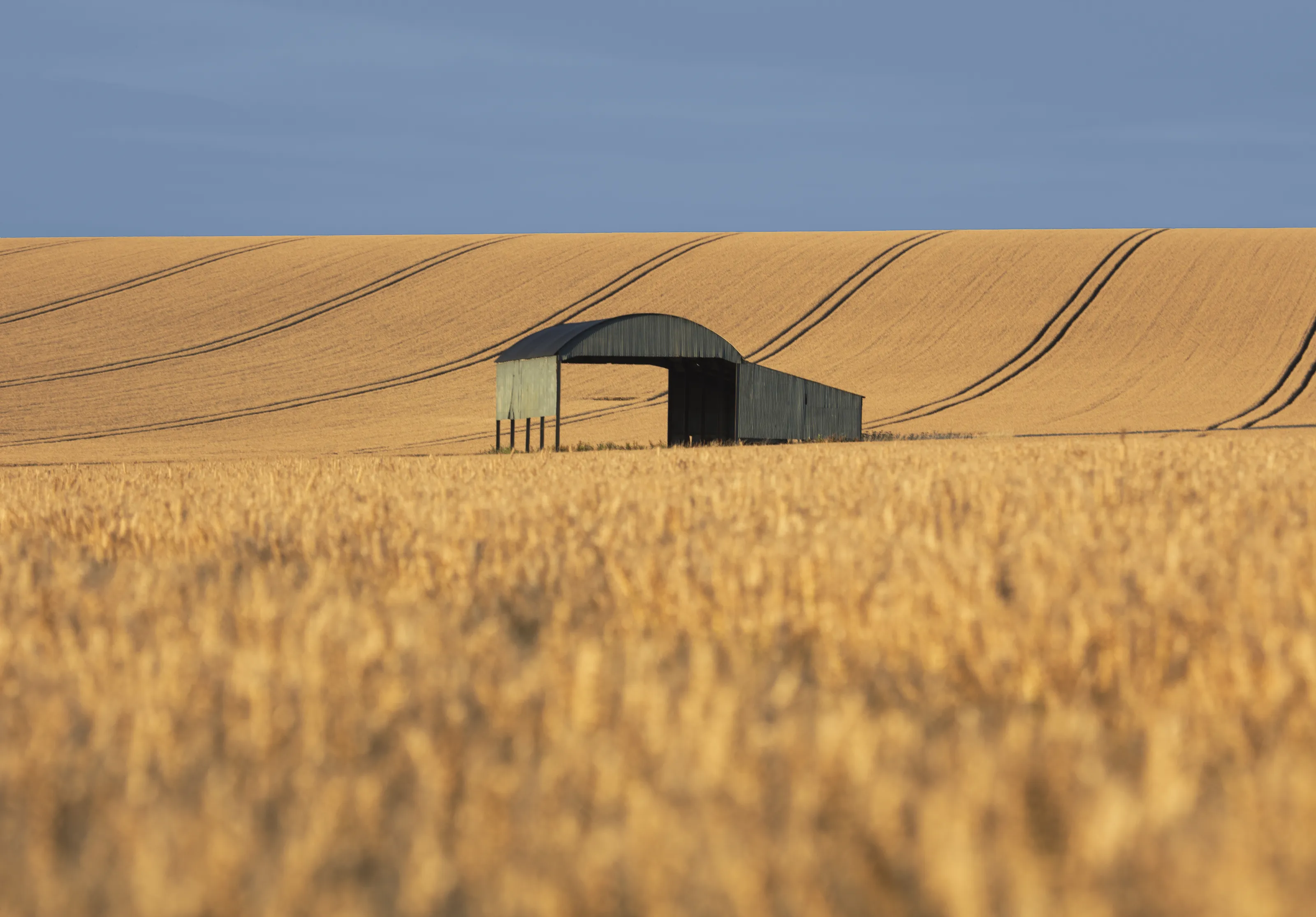 Barns