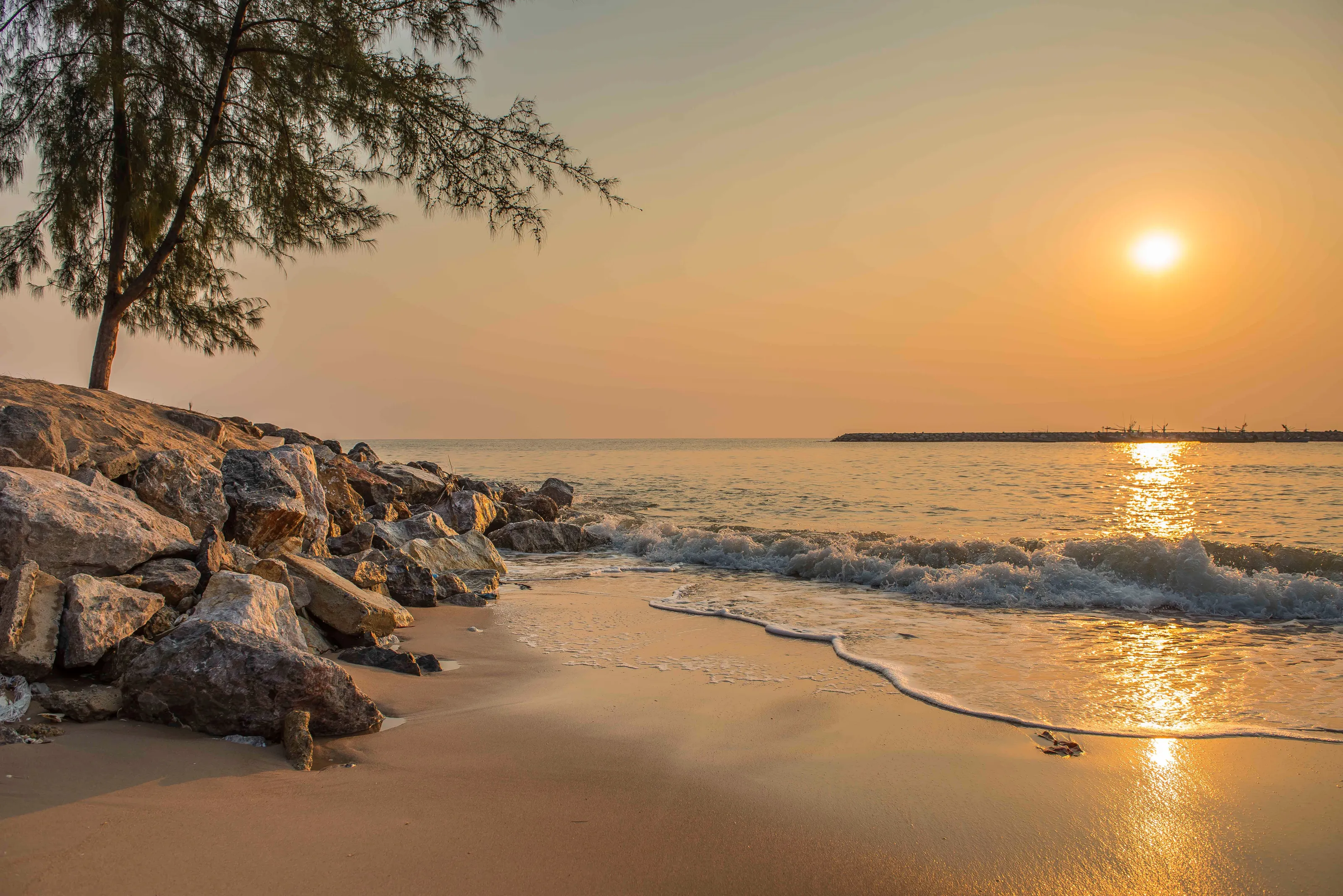 Beaches and shores