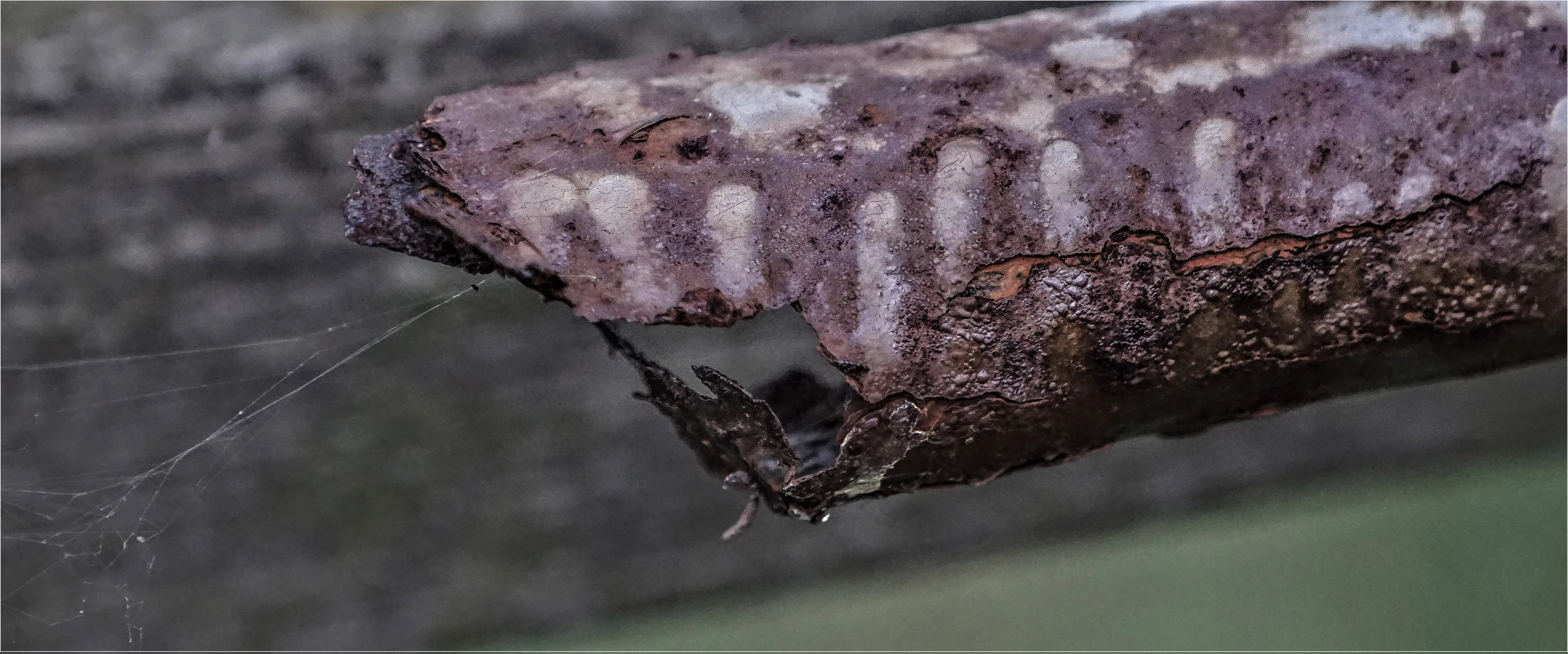 Rusty Objects in Colour