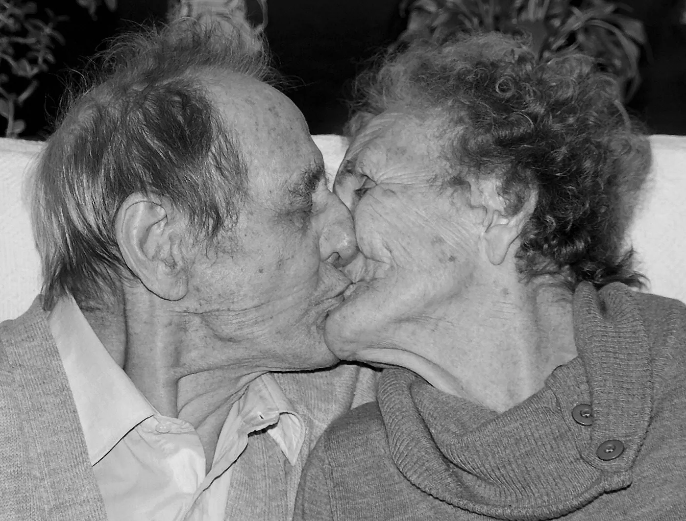 Senior Citizens