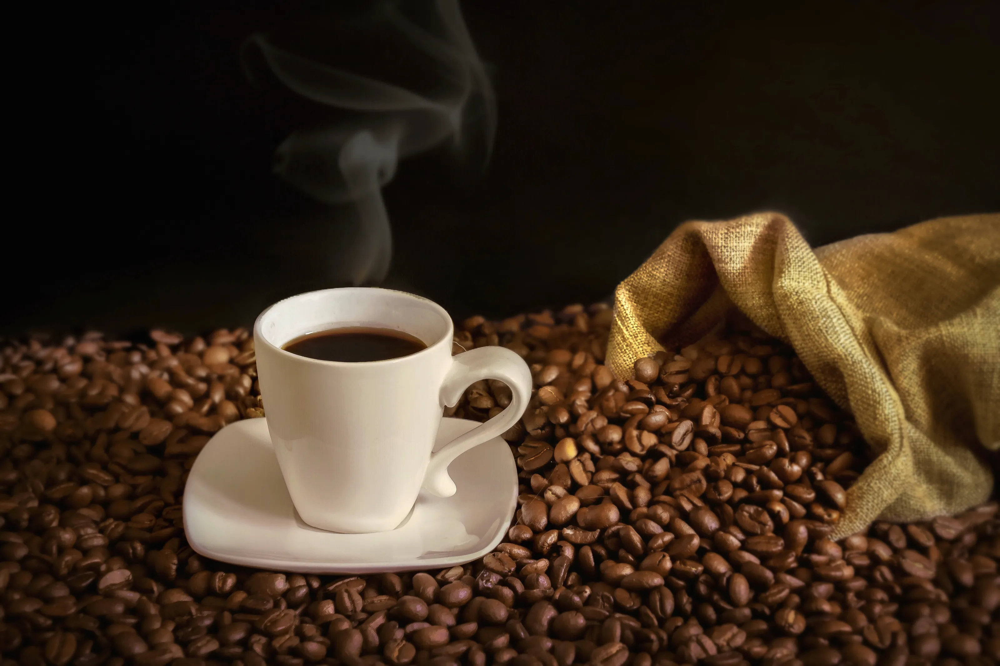 Objects With Pleasant Aromas (no flowers)