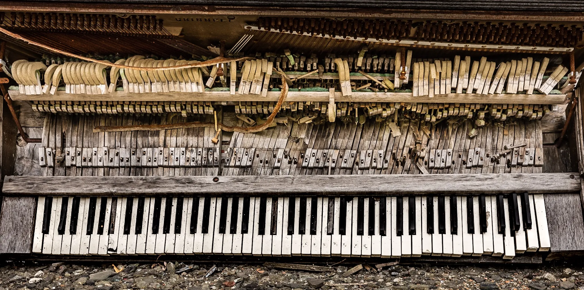 Musical Instruments