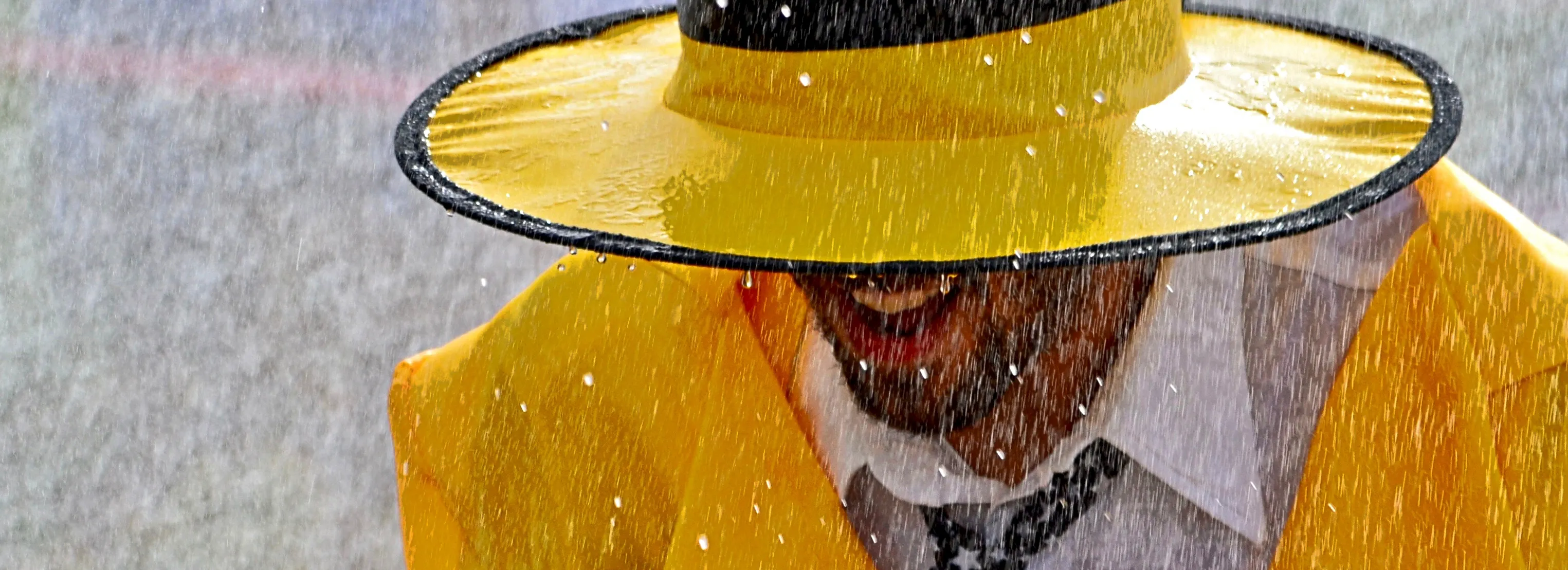 Rain