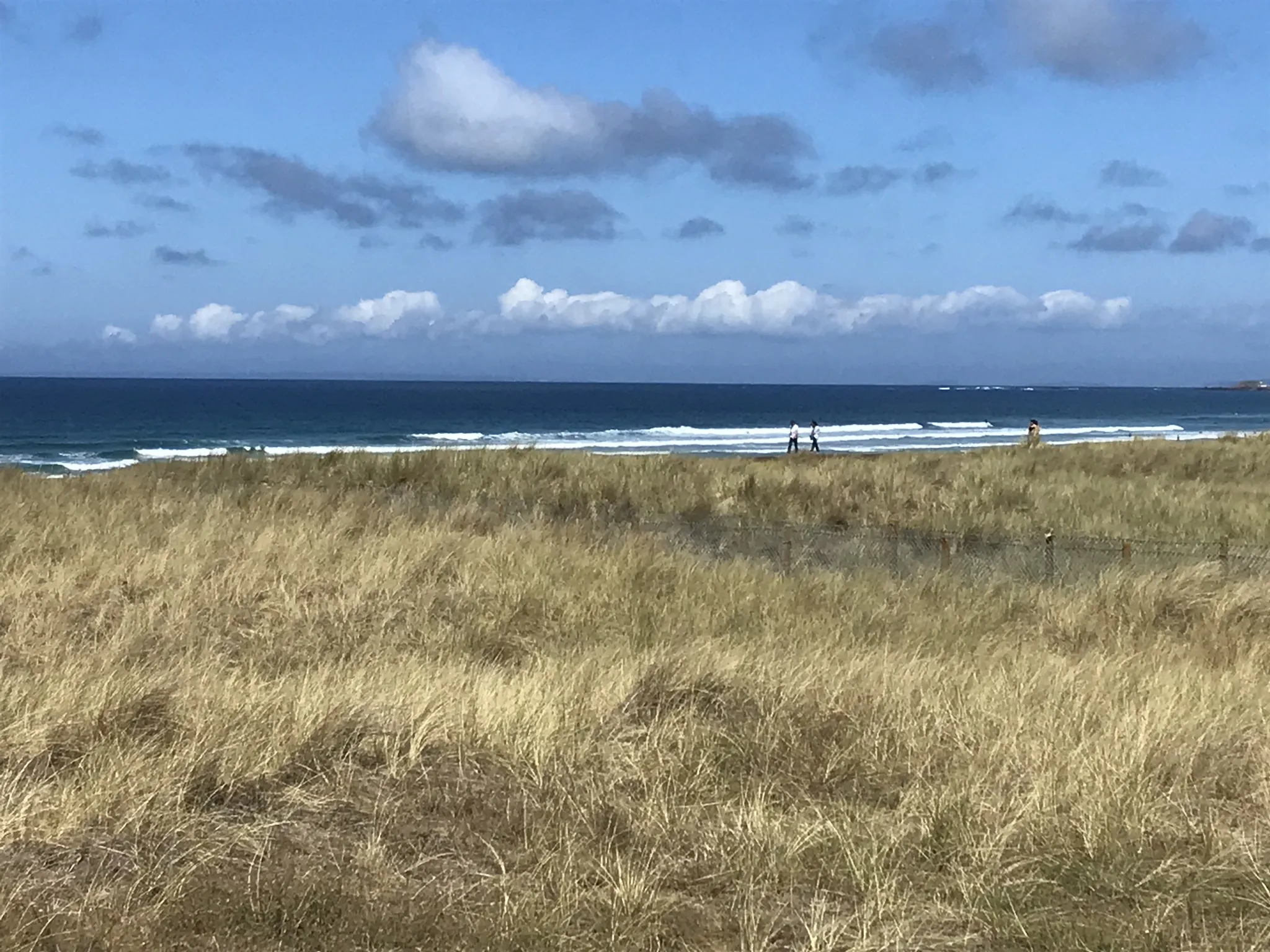 Coastal Landscapes
