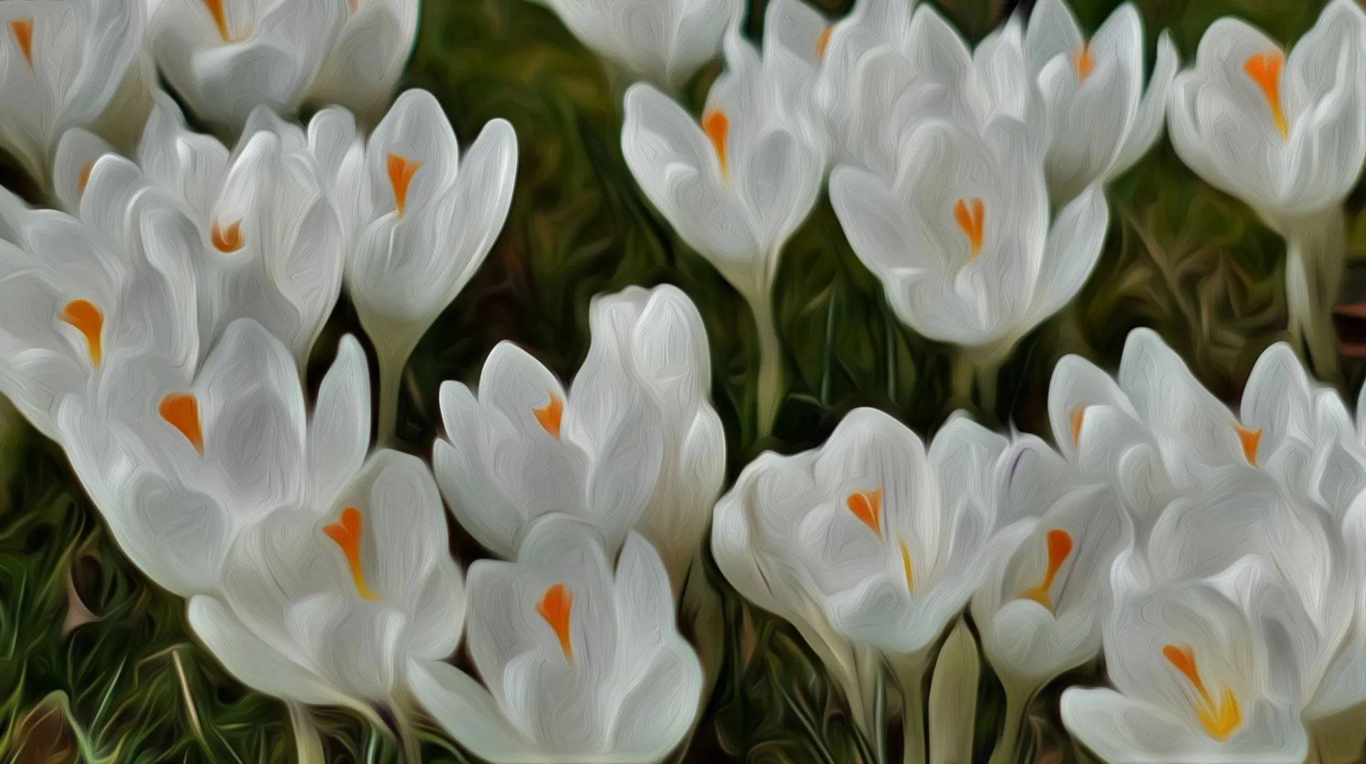 Groups of Flowers of the Same Species