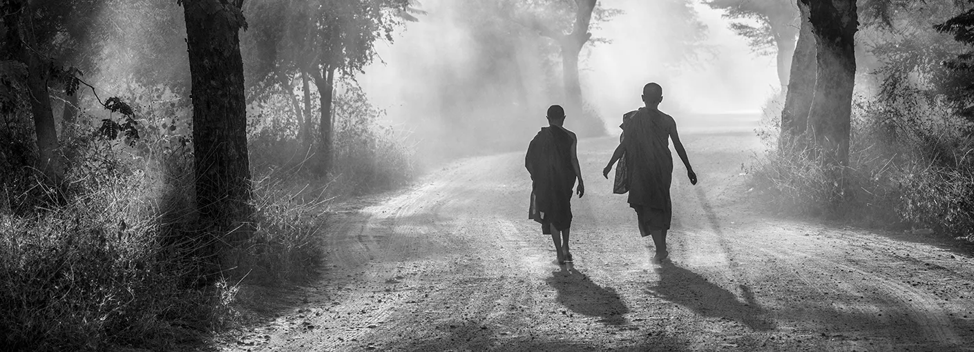 Shadows and silhouettes