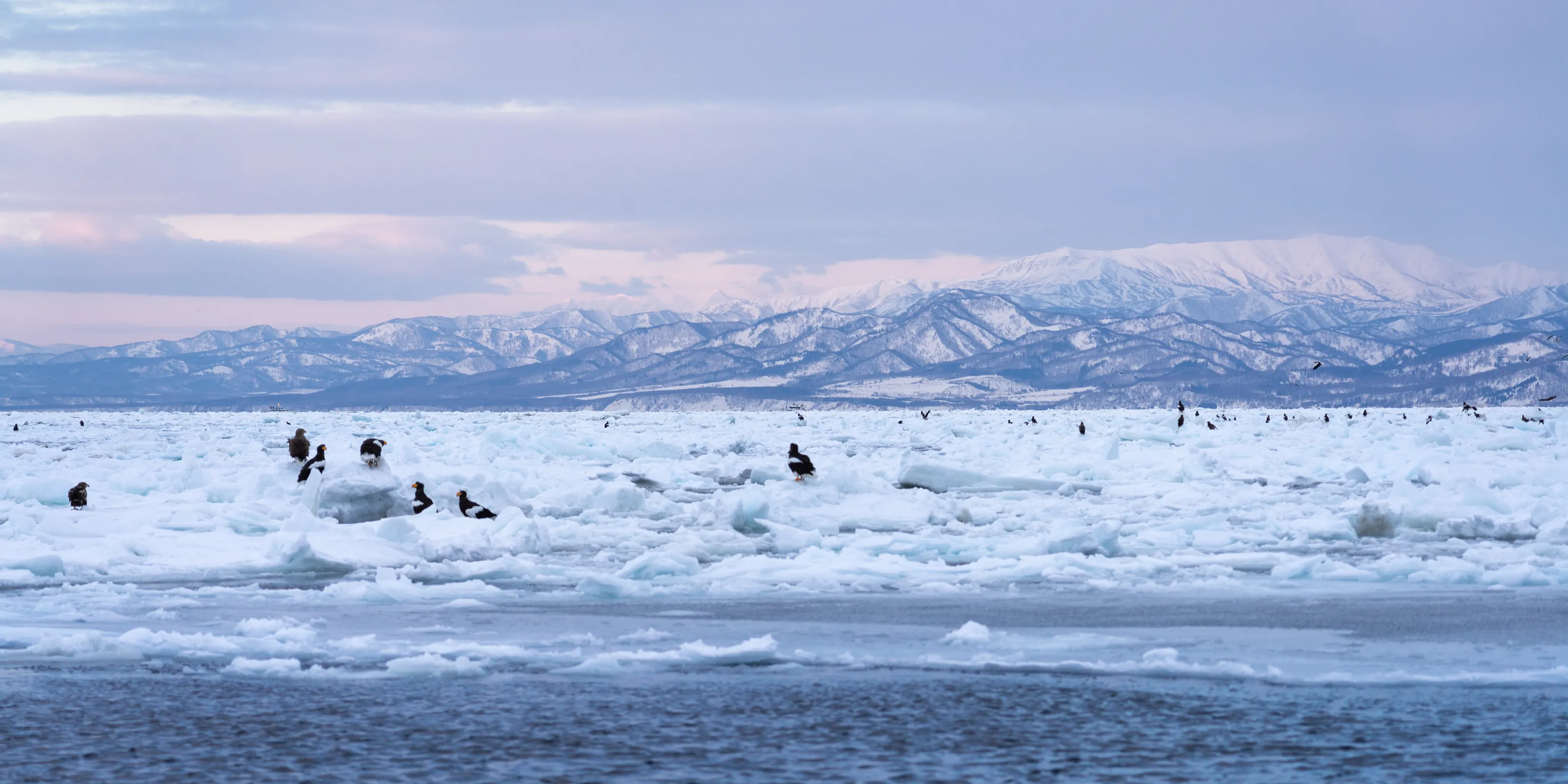 Hokkaido
