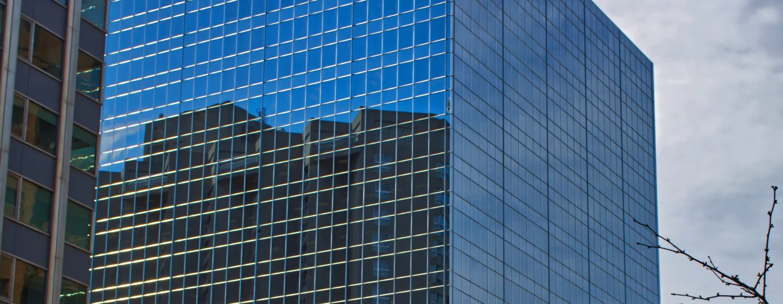 Reflections in Glass