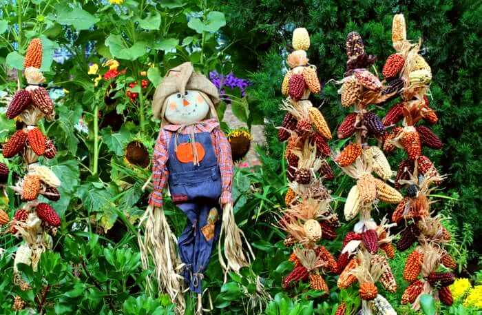 Scarecrows in Colour