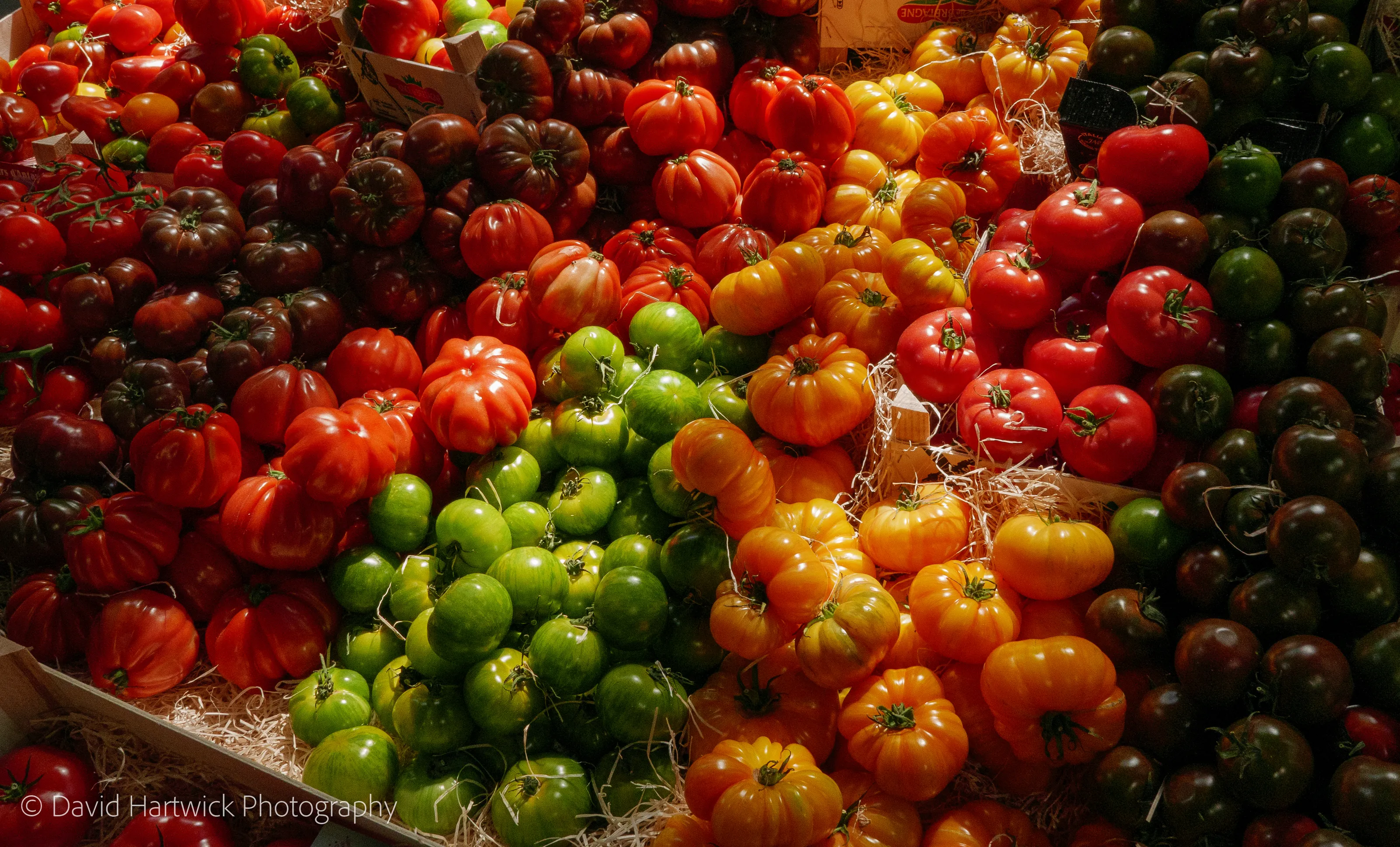 Fruit and Vegetables