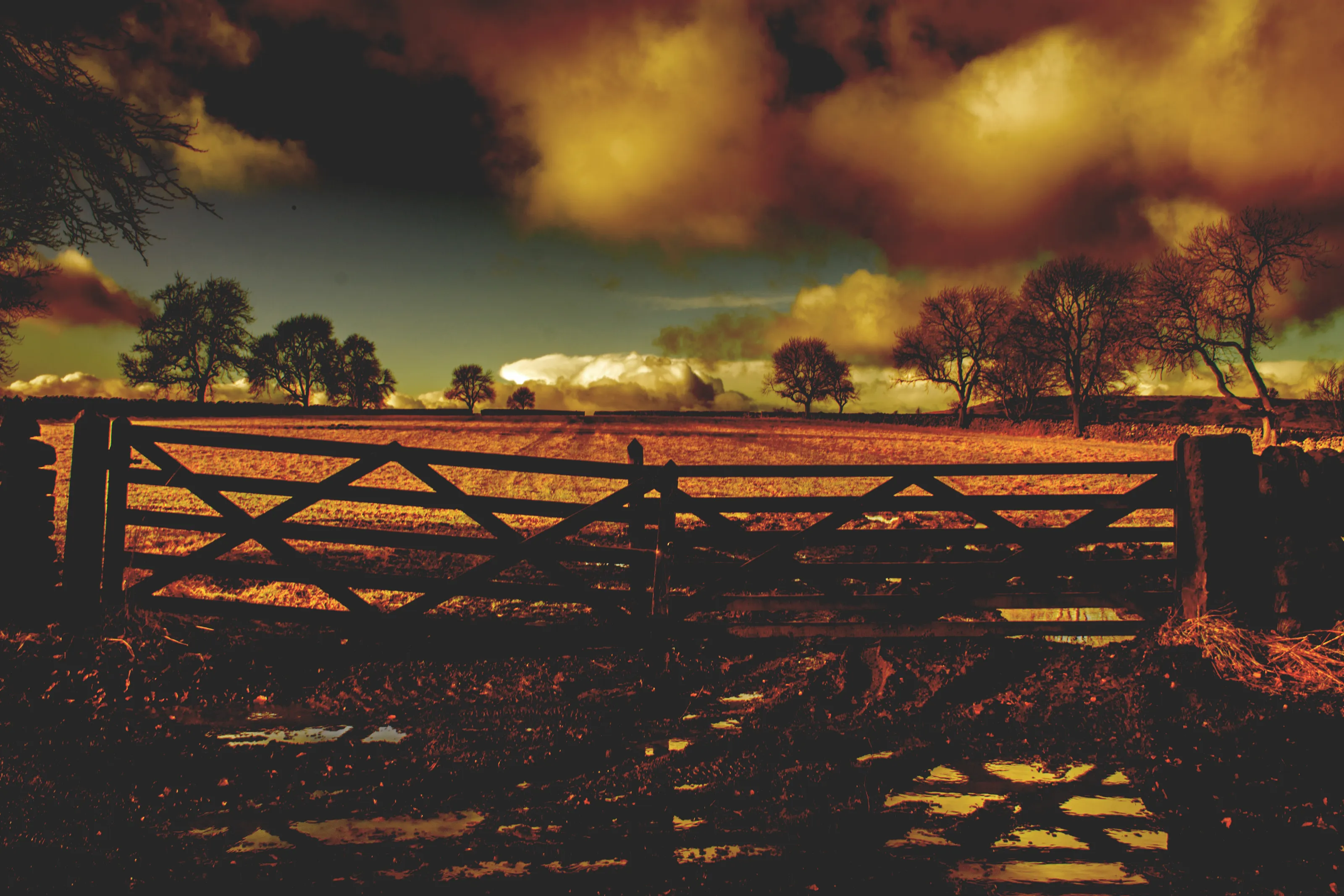 Highly Processed Landscapes in Colour