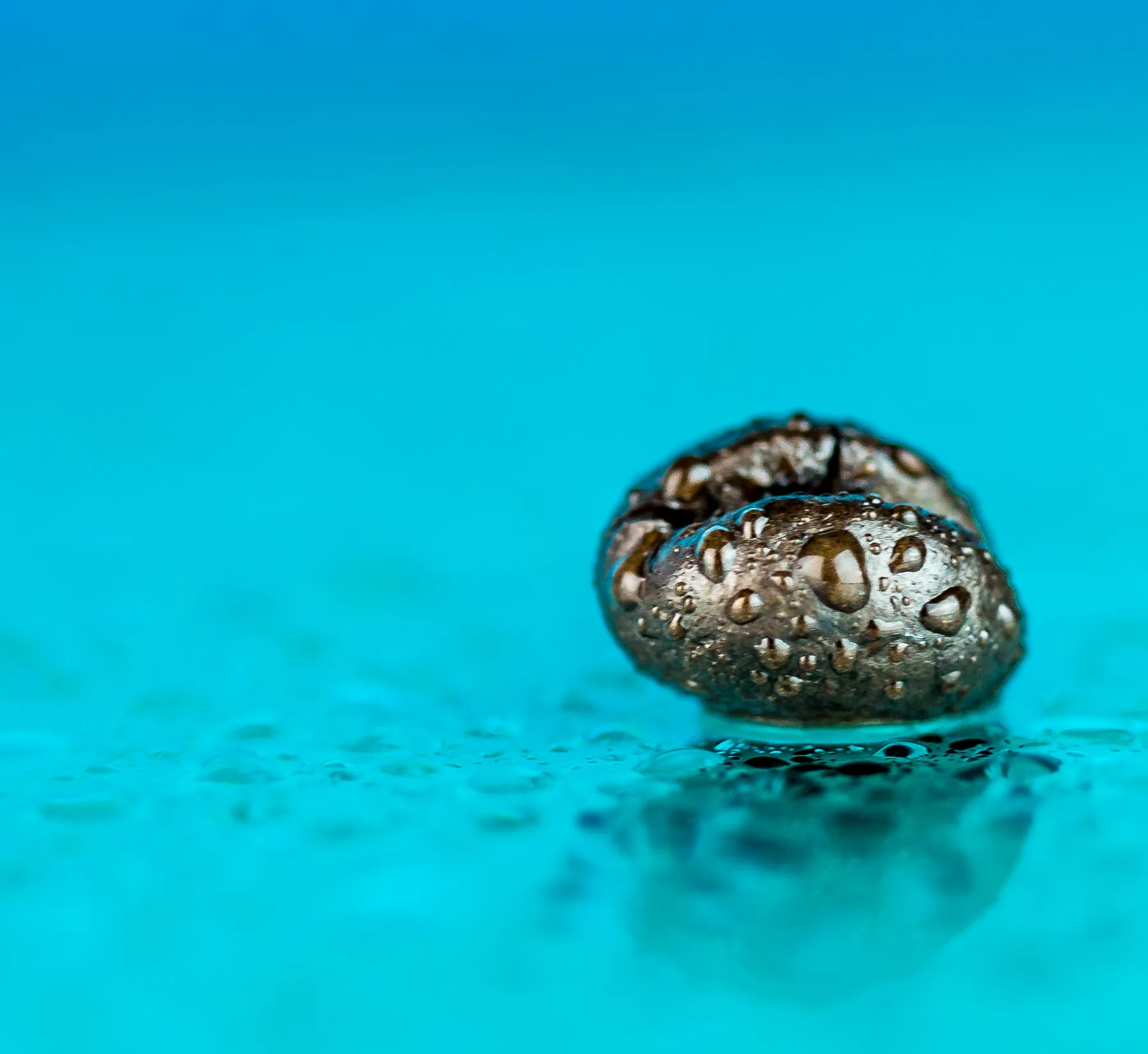 An Isolated Object