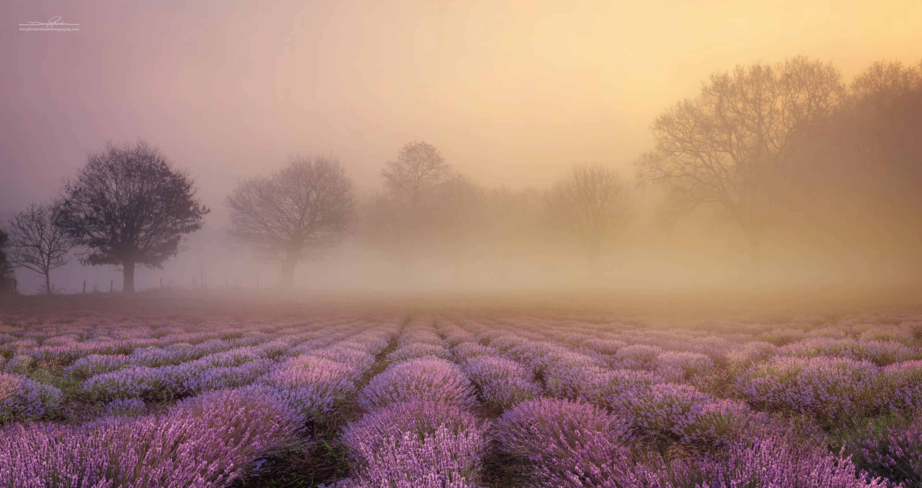 Mist and Fog