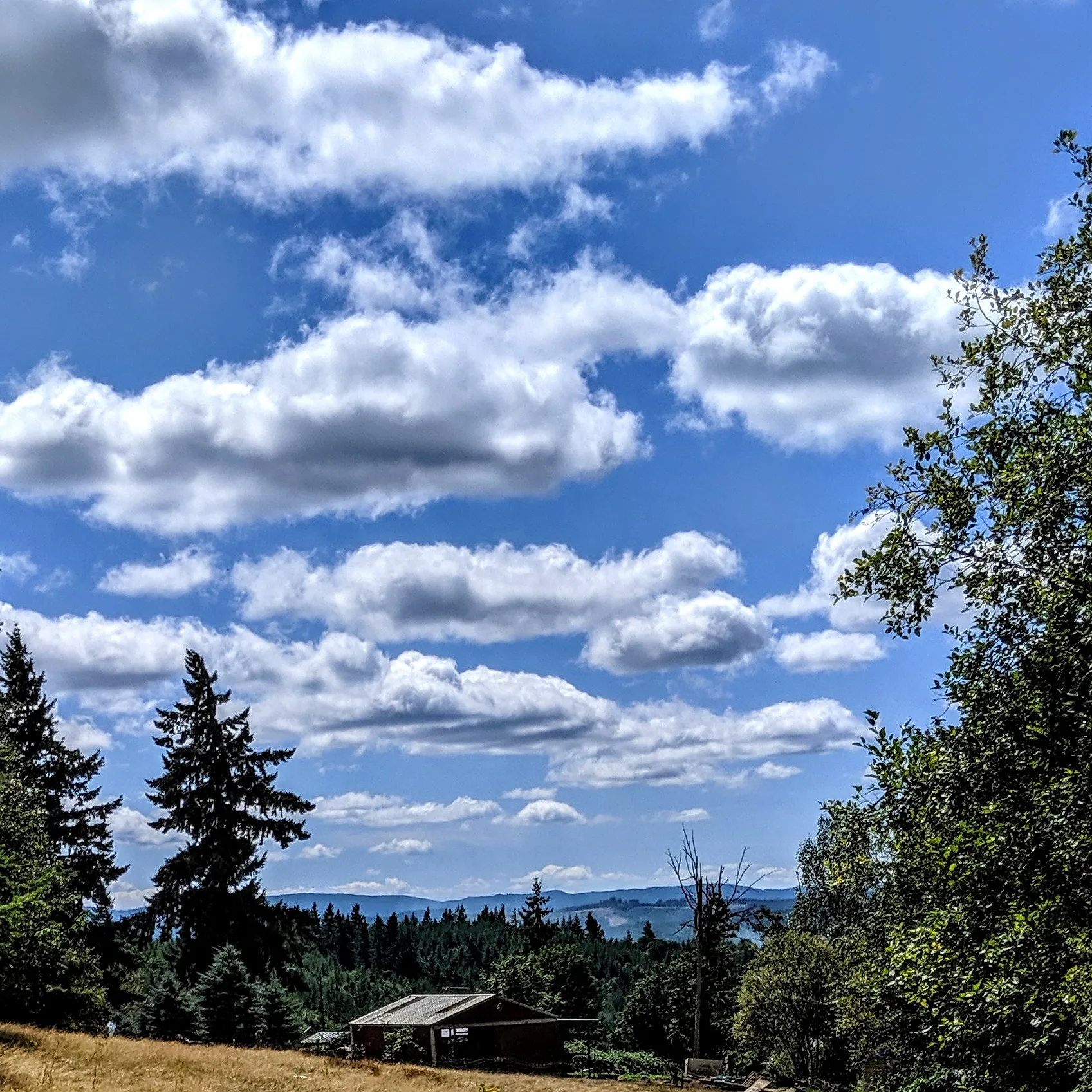 Clouds