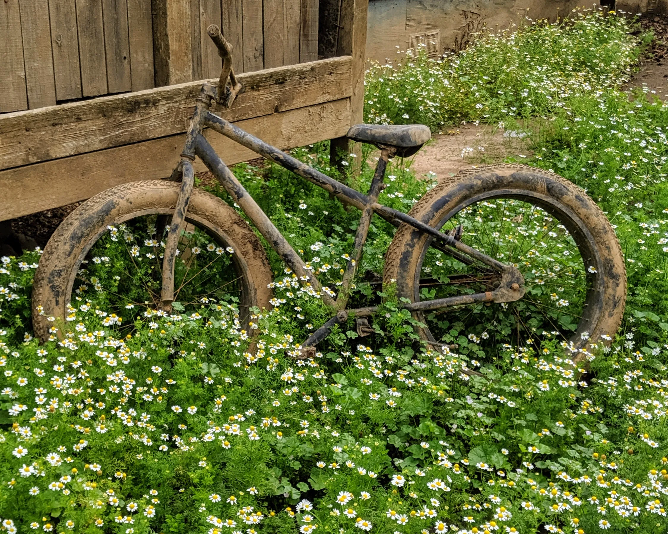 Modes of Transport