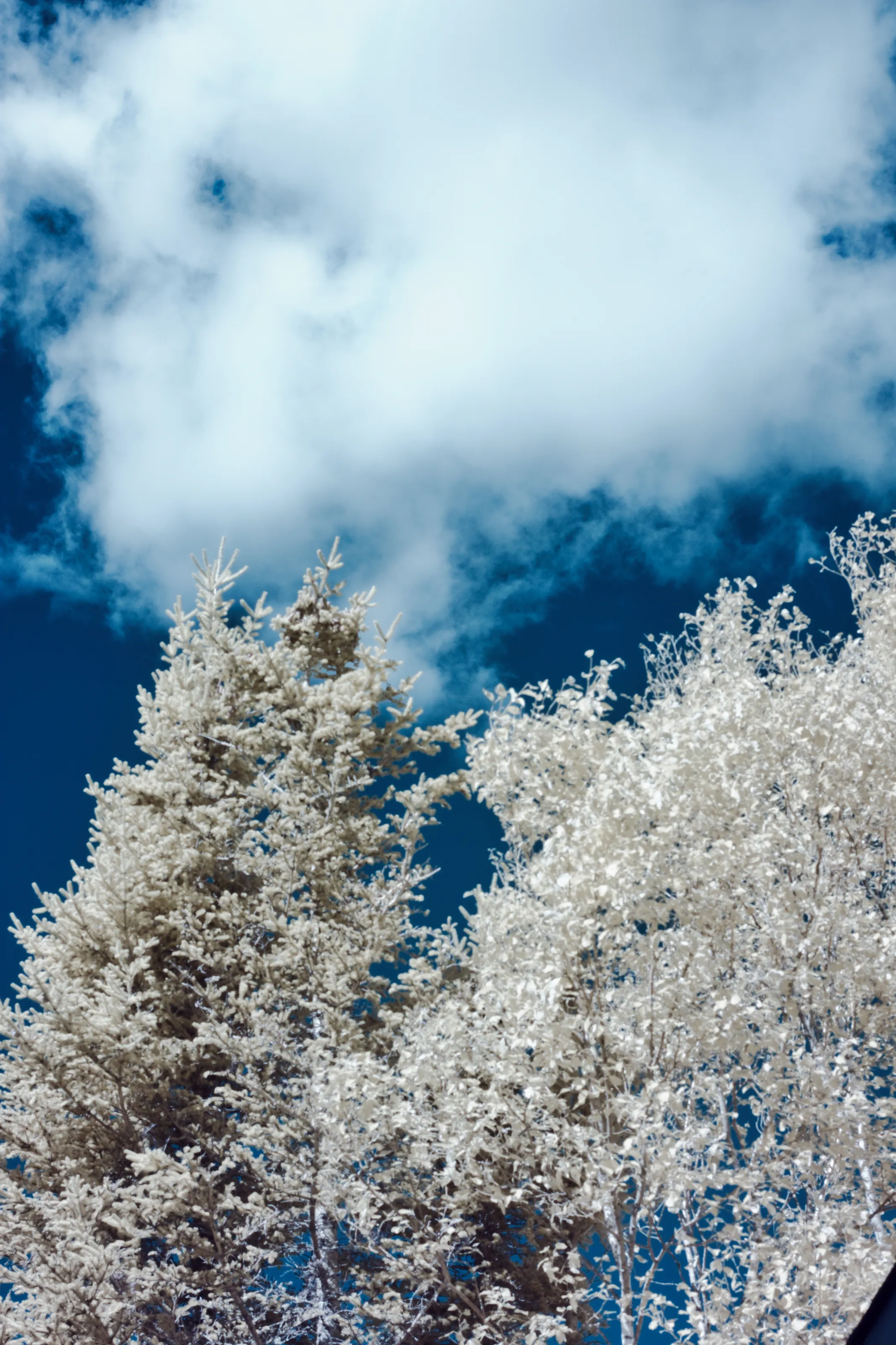 Infrared