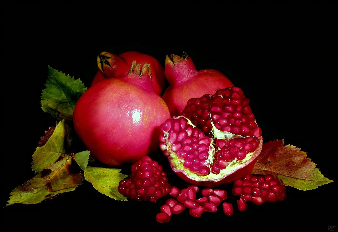 Seeds and fruit