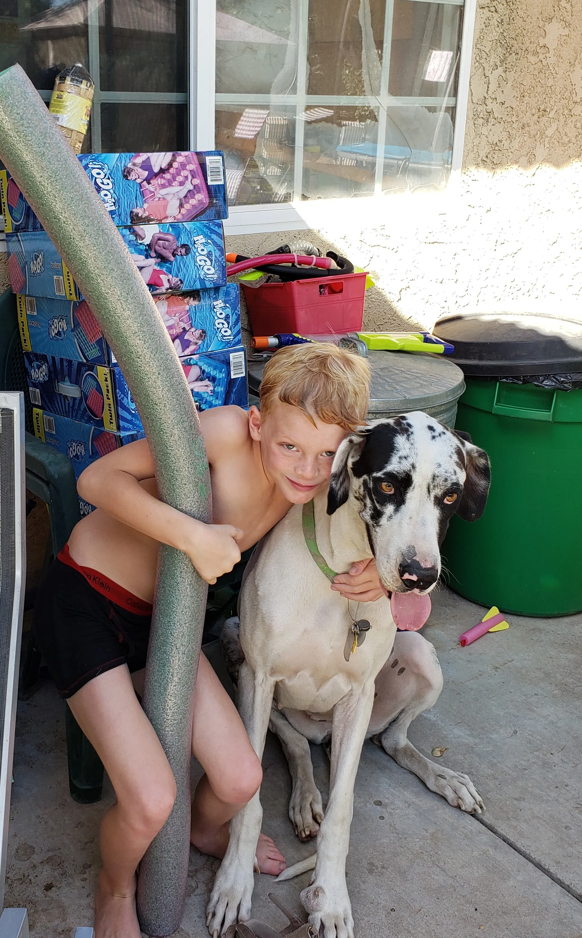 Children with a Dog
